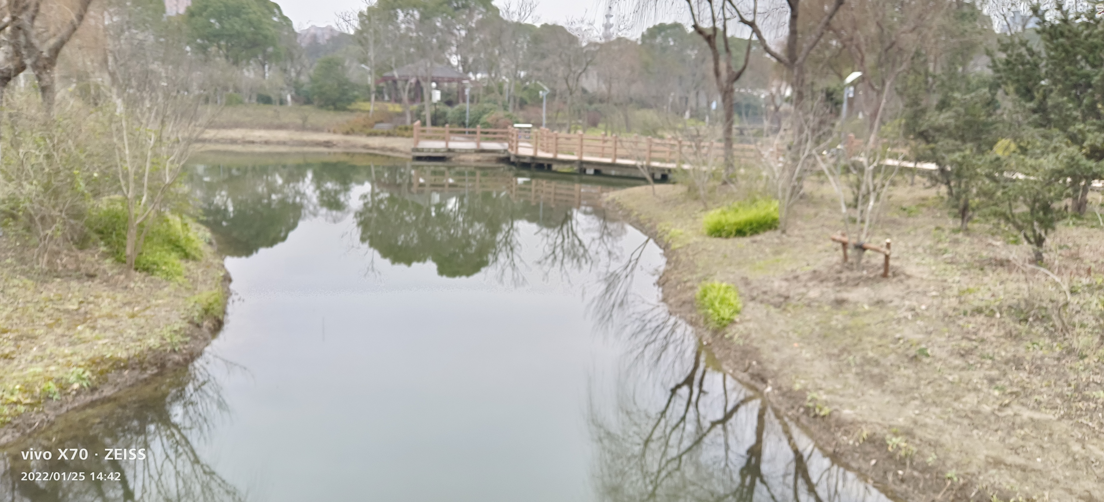 罗泾公园旅行图片 2