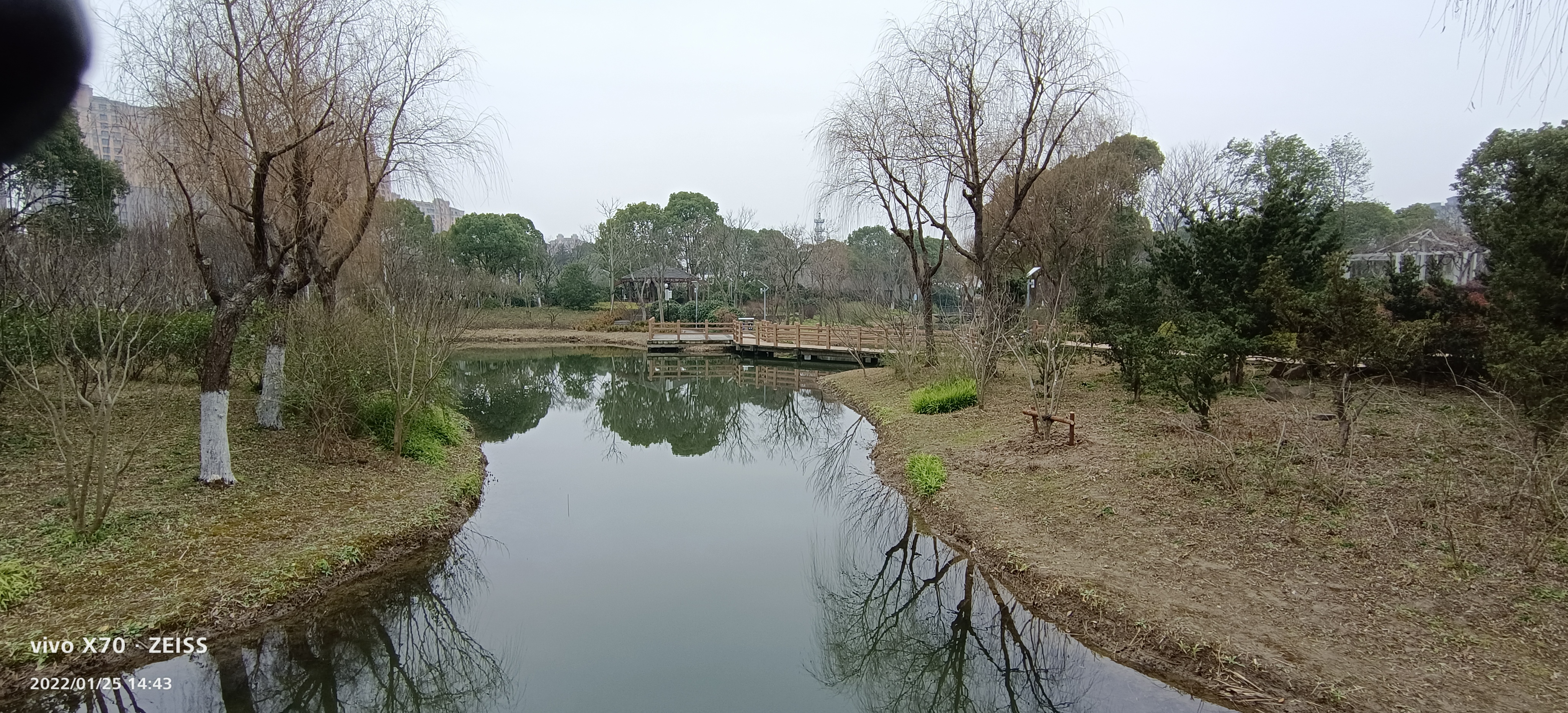 罗泾公园旅行图片 1