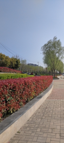 凤河公园旅行图片 2