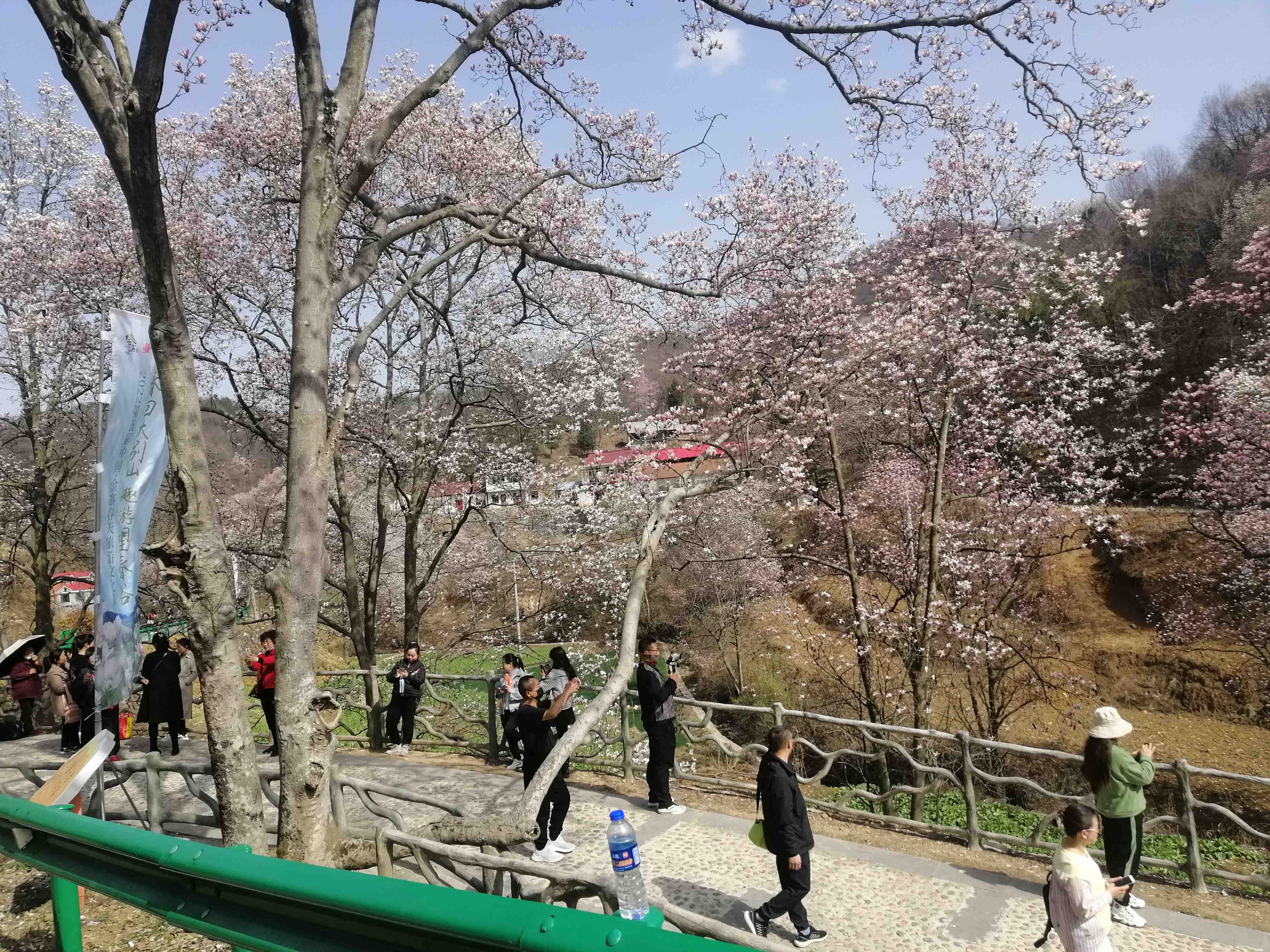 安徽金寨望春谷旅行图片 2