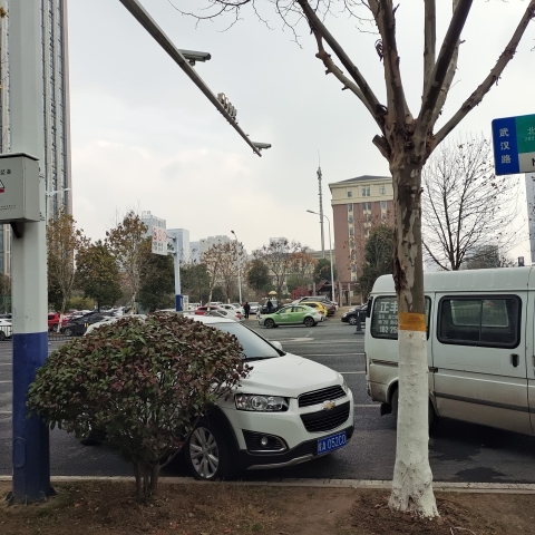 云川公园旅行图片 1