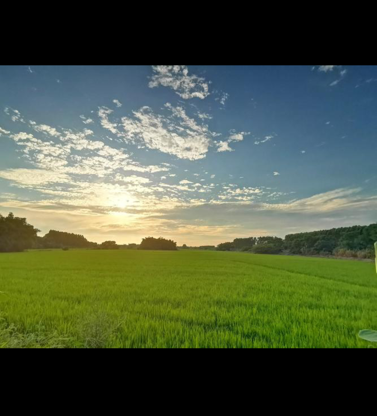 牛山思乡园旅行图片 1
