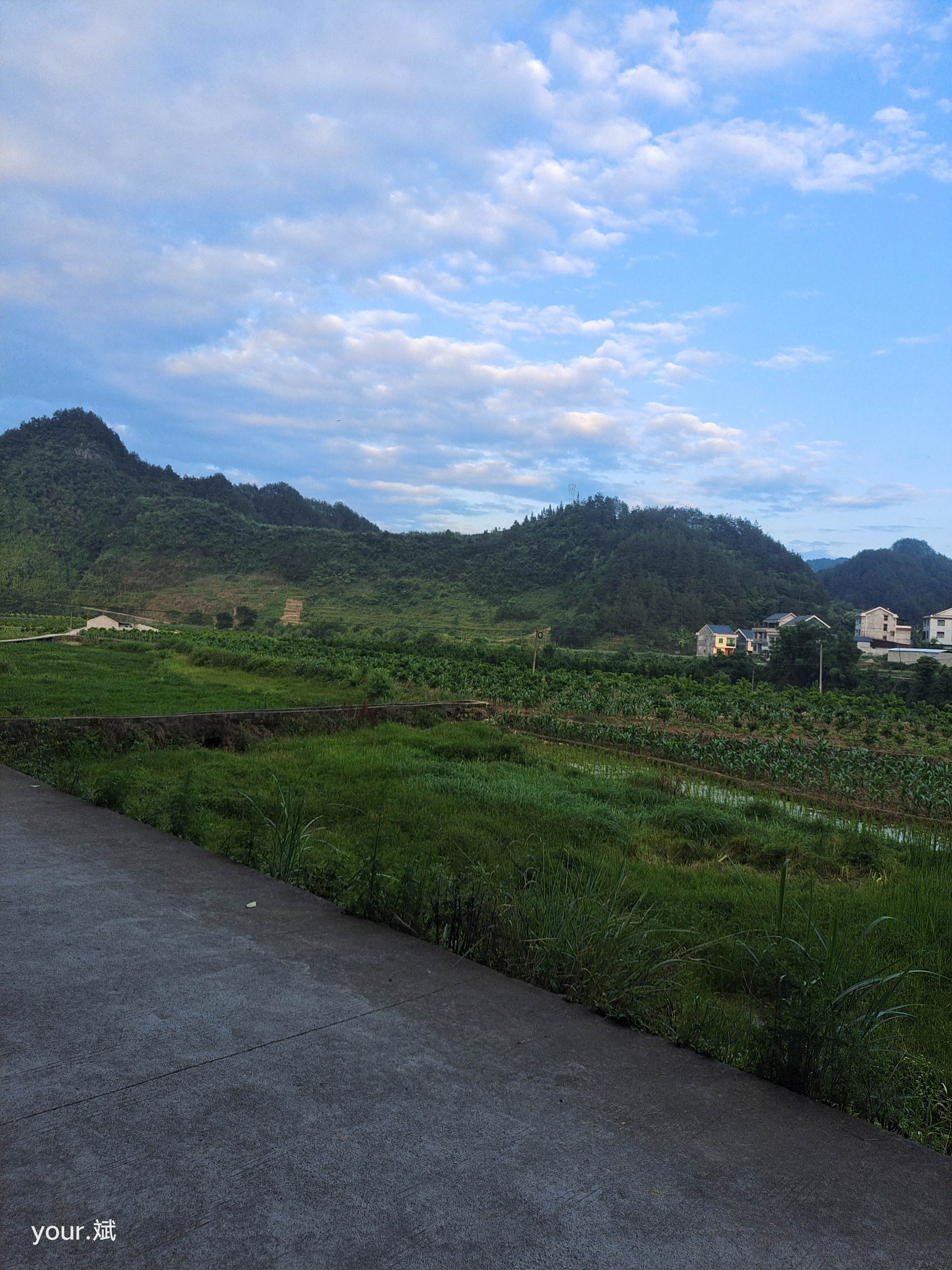 醉美荷湾旅行图片 1