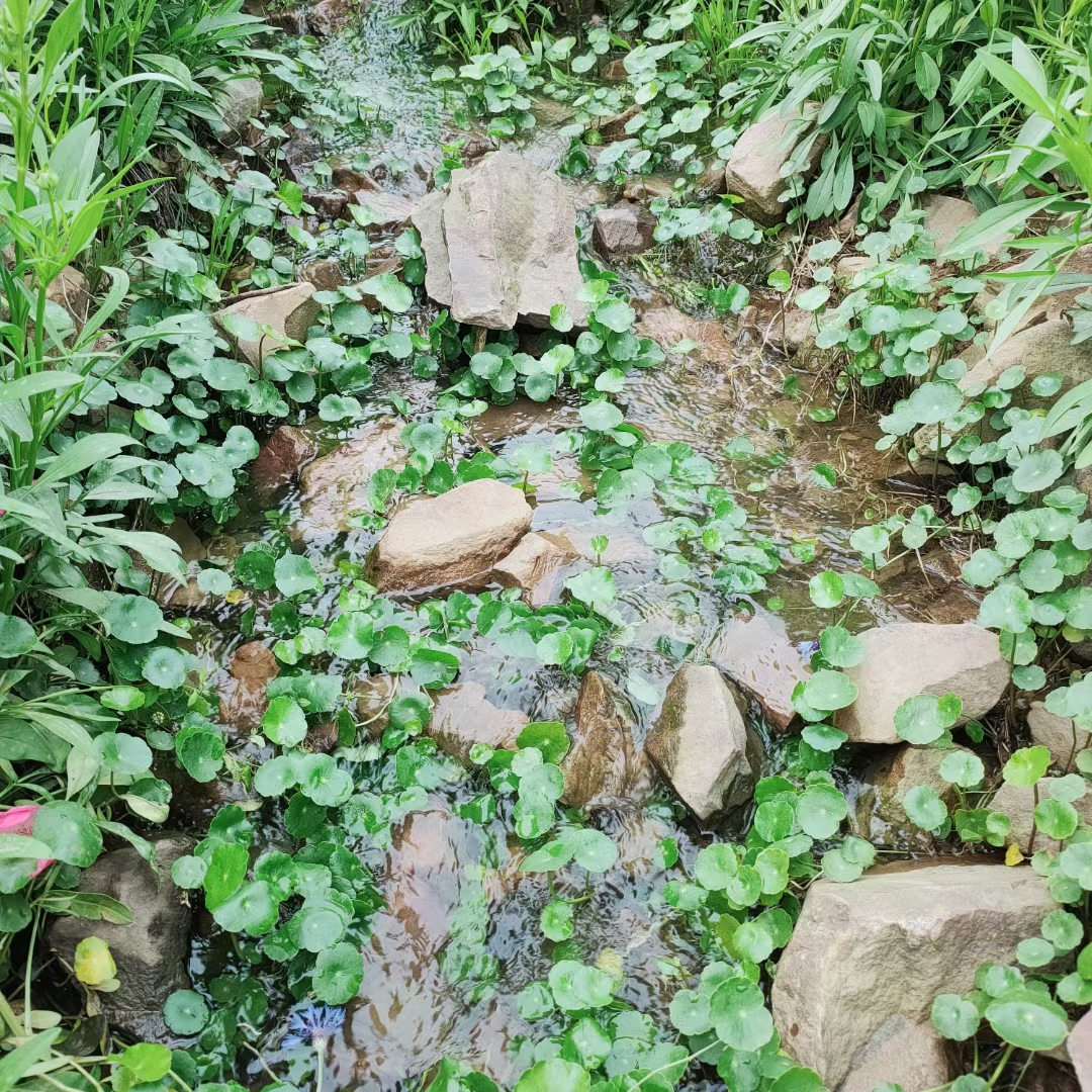 太湖修心谷旅行图片 2