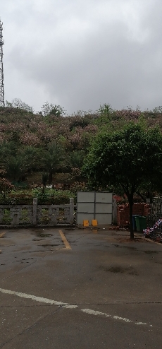 林邑公园旅行图片 1