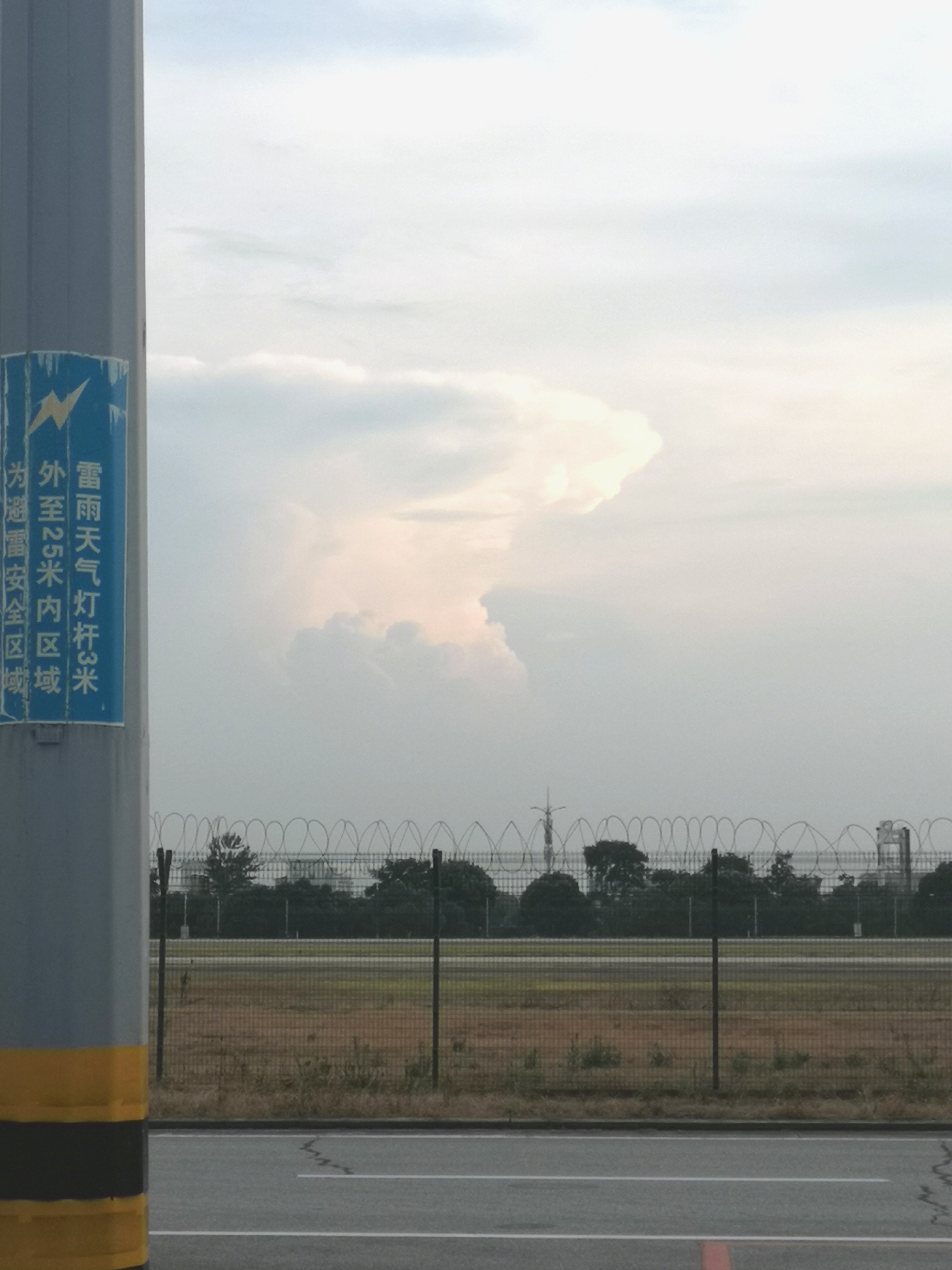 新昌薰衣草庄园旅行图片 2