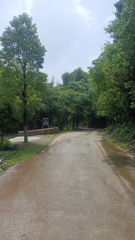 南岭森林公园旅行图片 1