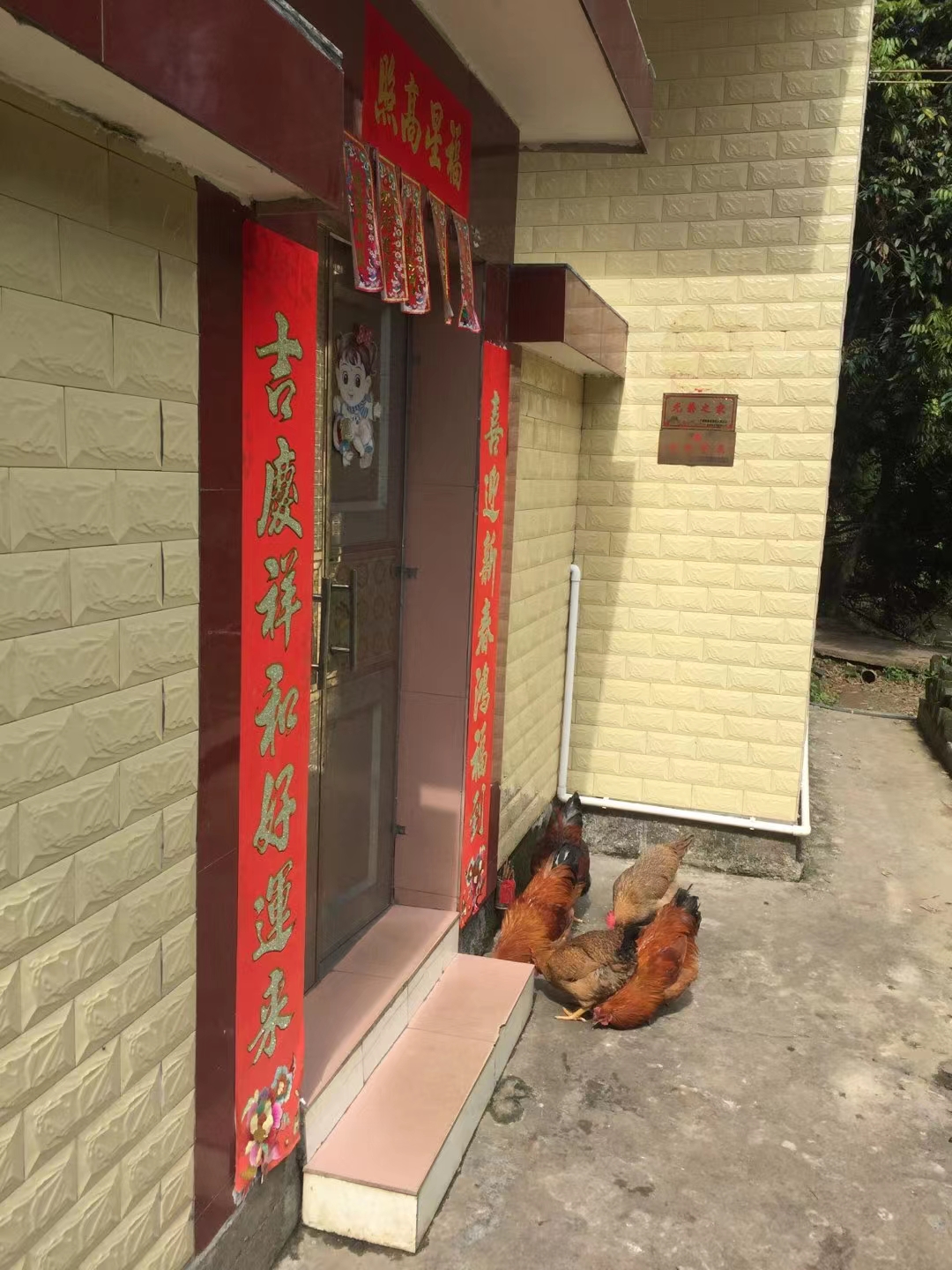 禤洲岛旅游景区旅行图片 2