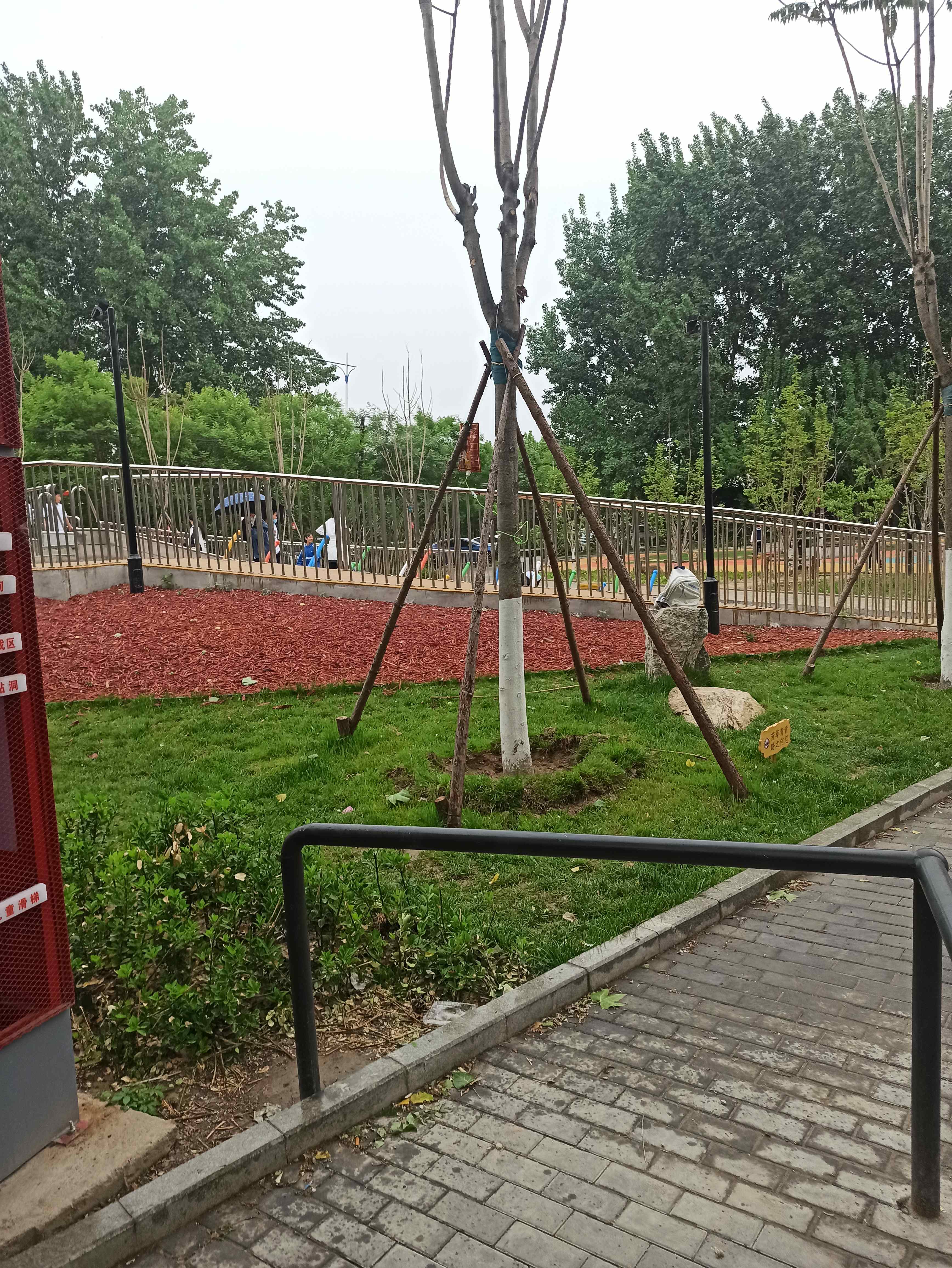 罗萨北大街儿童营地旅行图片 2
