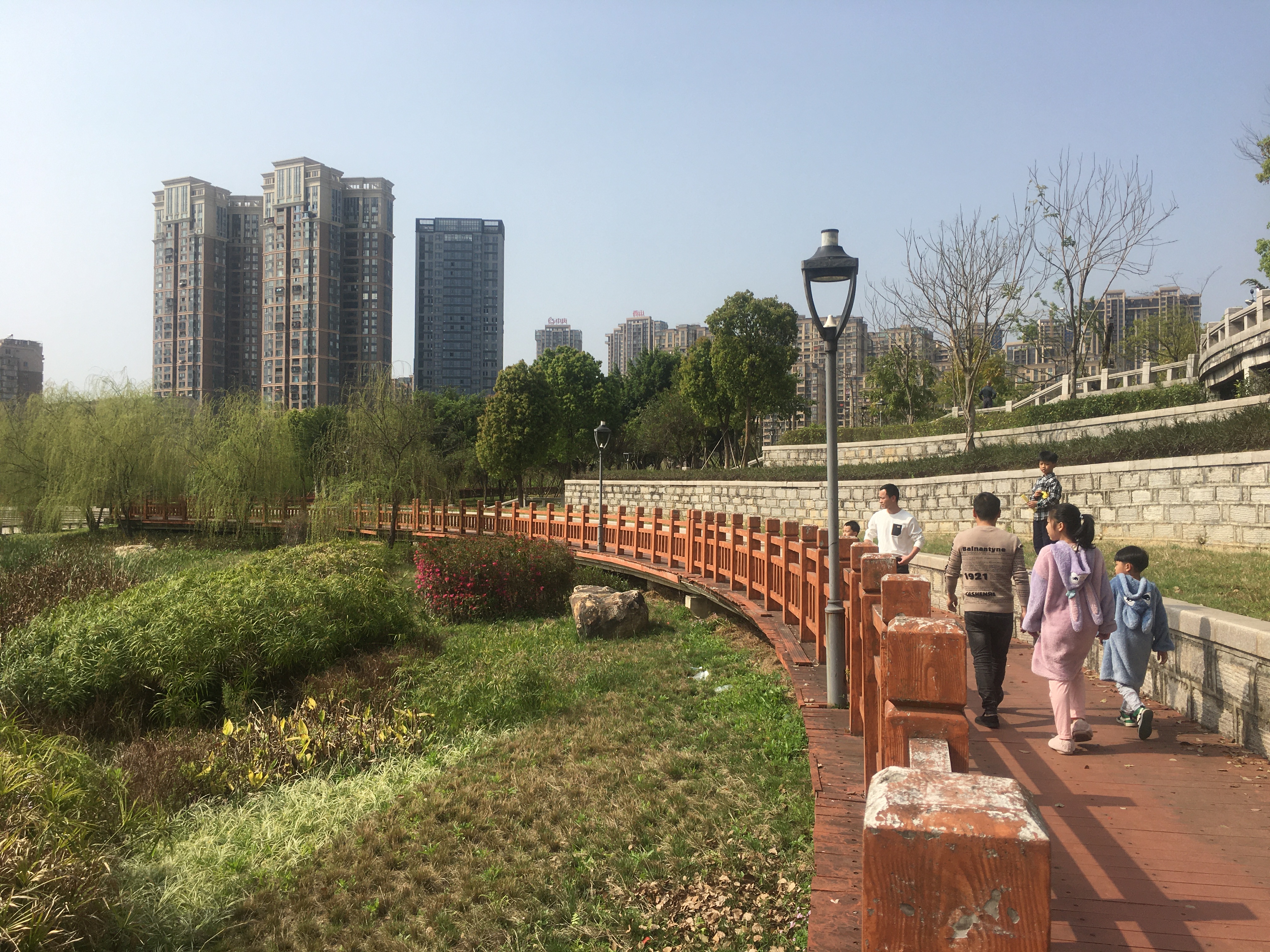 渡头湿地公园旅行图片