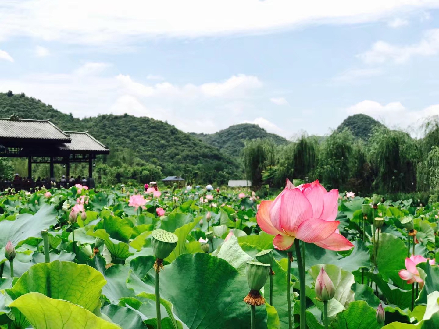 蓬莱仙界大景区