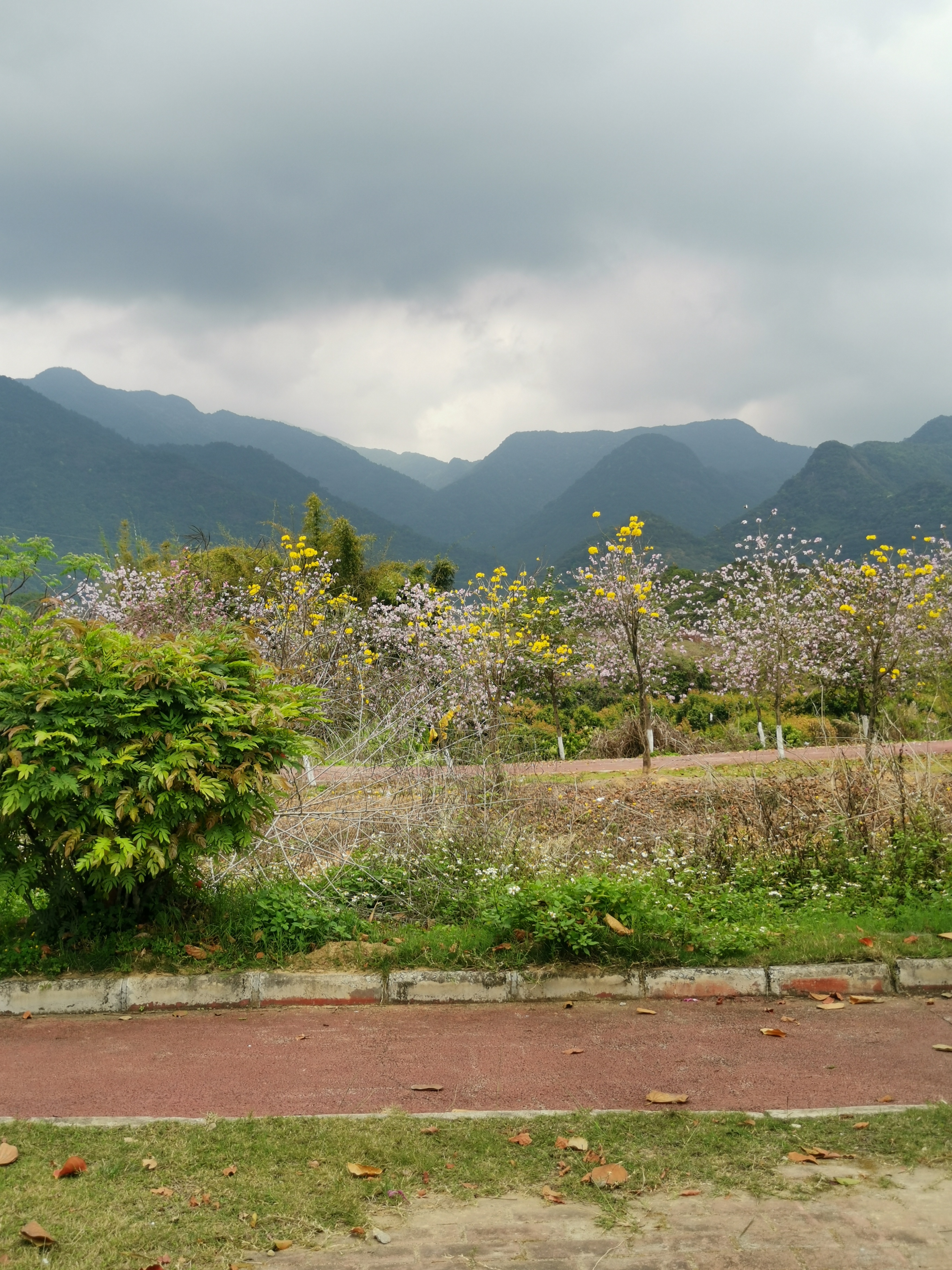 北山公园旅行图片 3