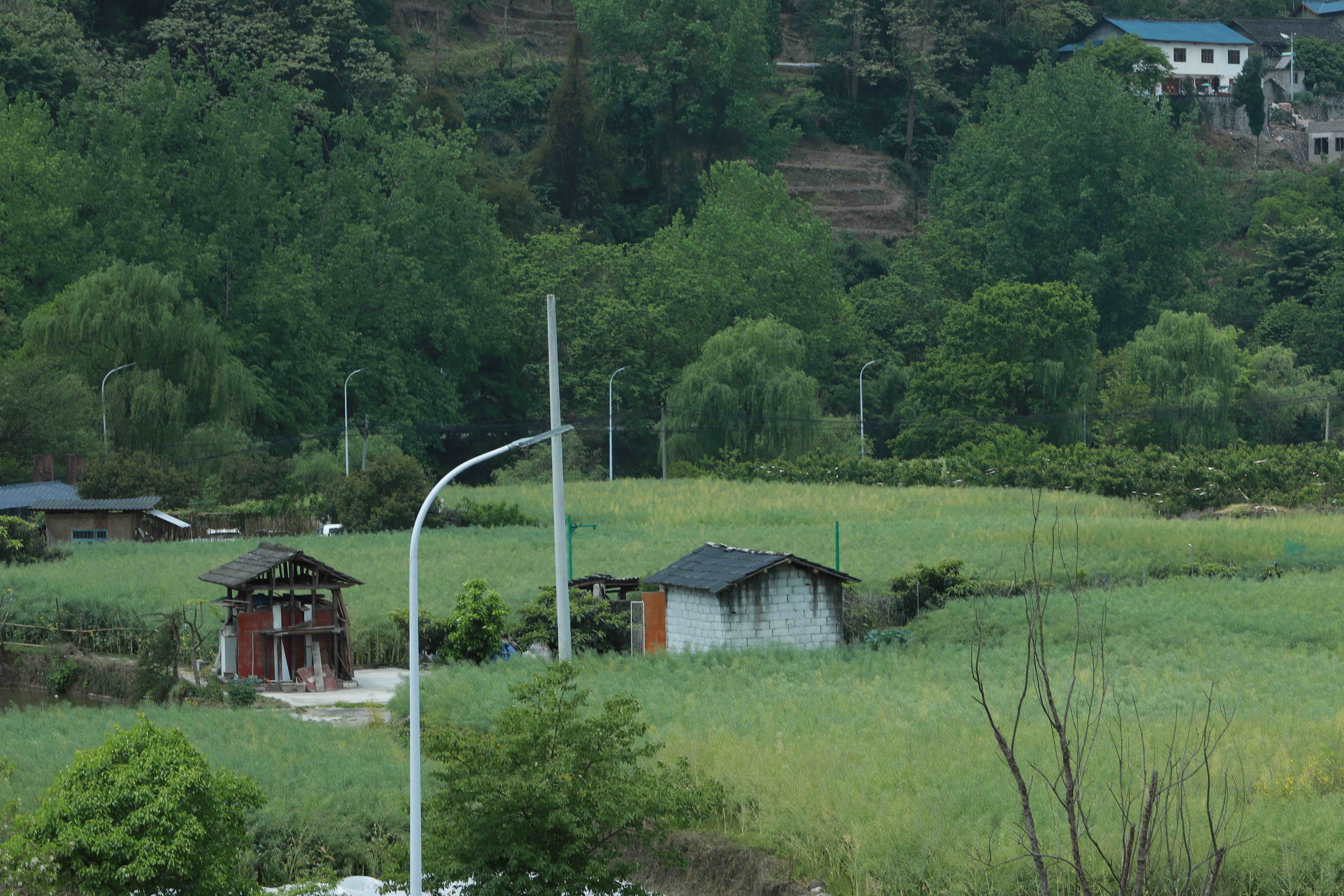 清龙十里画廊水头寨旅行图片 3
