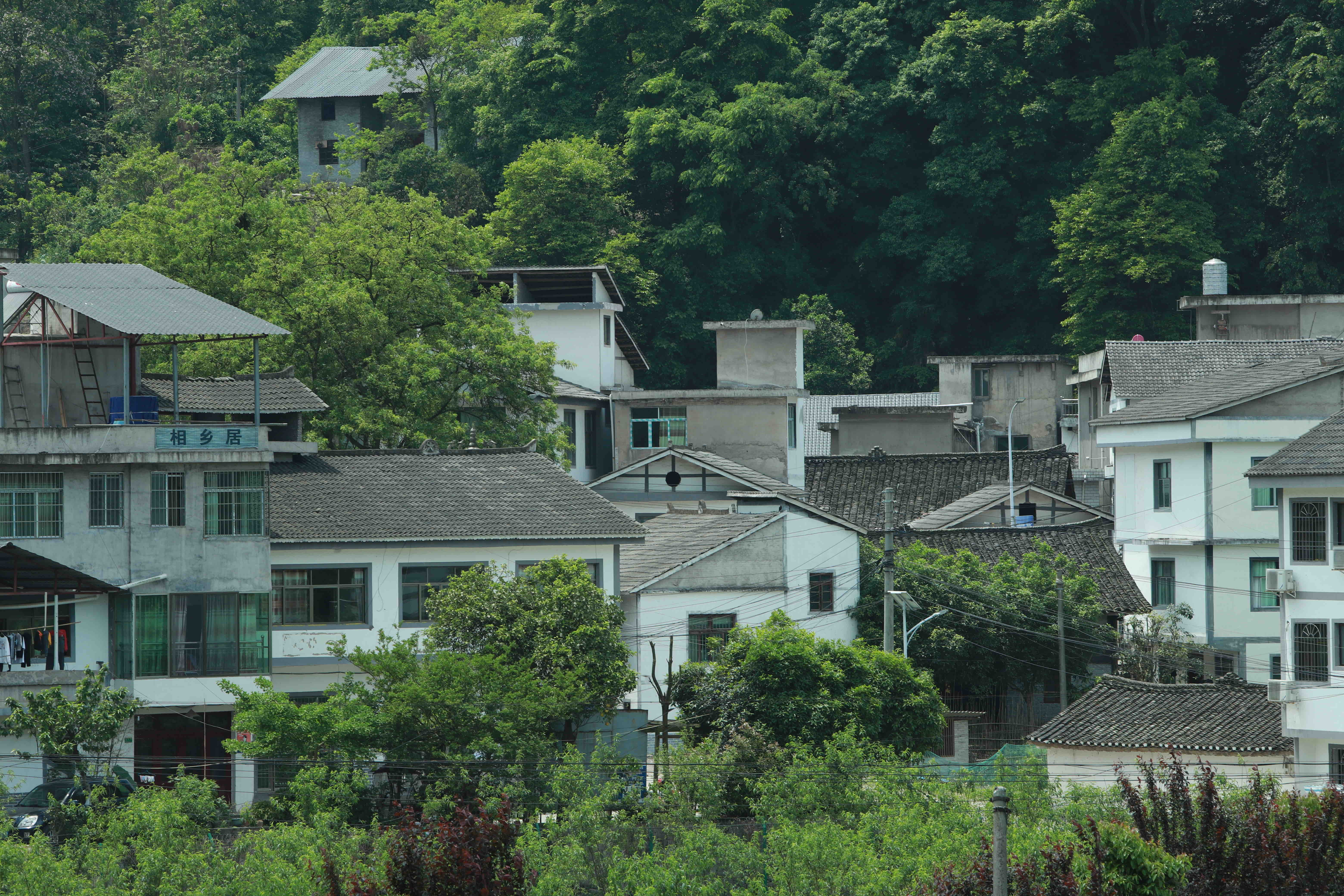 清龙十里画廊水头寨旅行图片 2