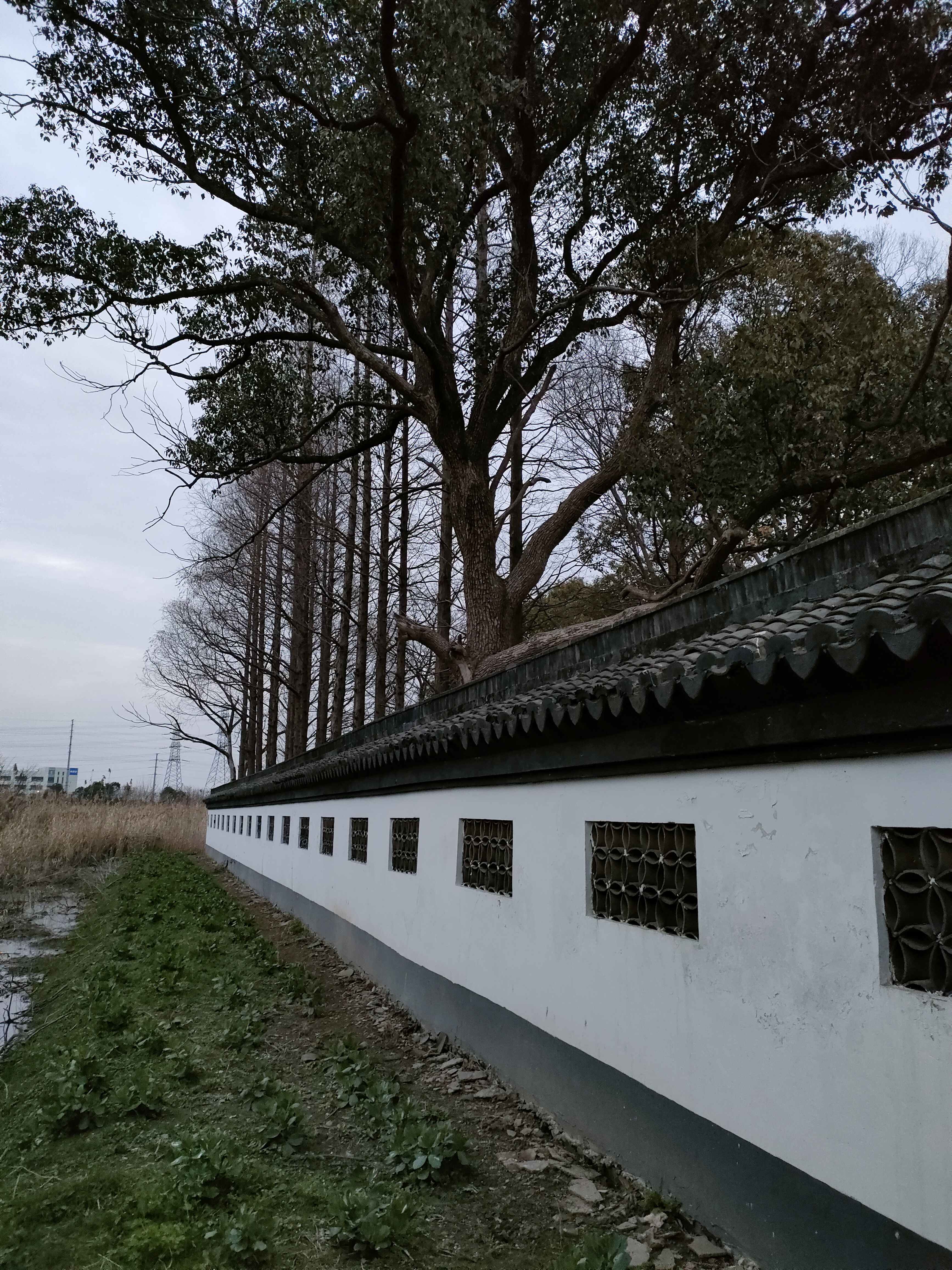 清名医徐灵胎墓旅行图片 2