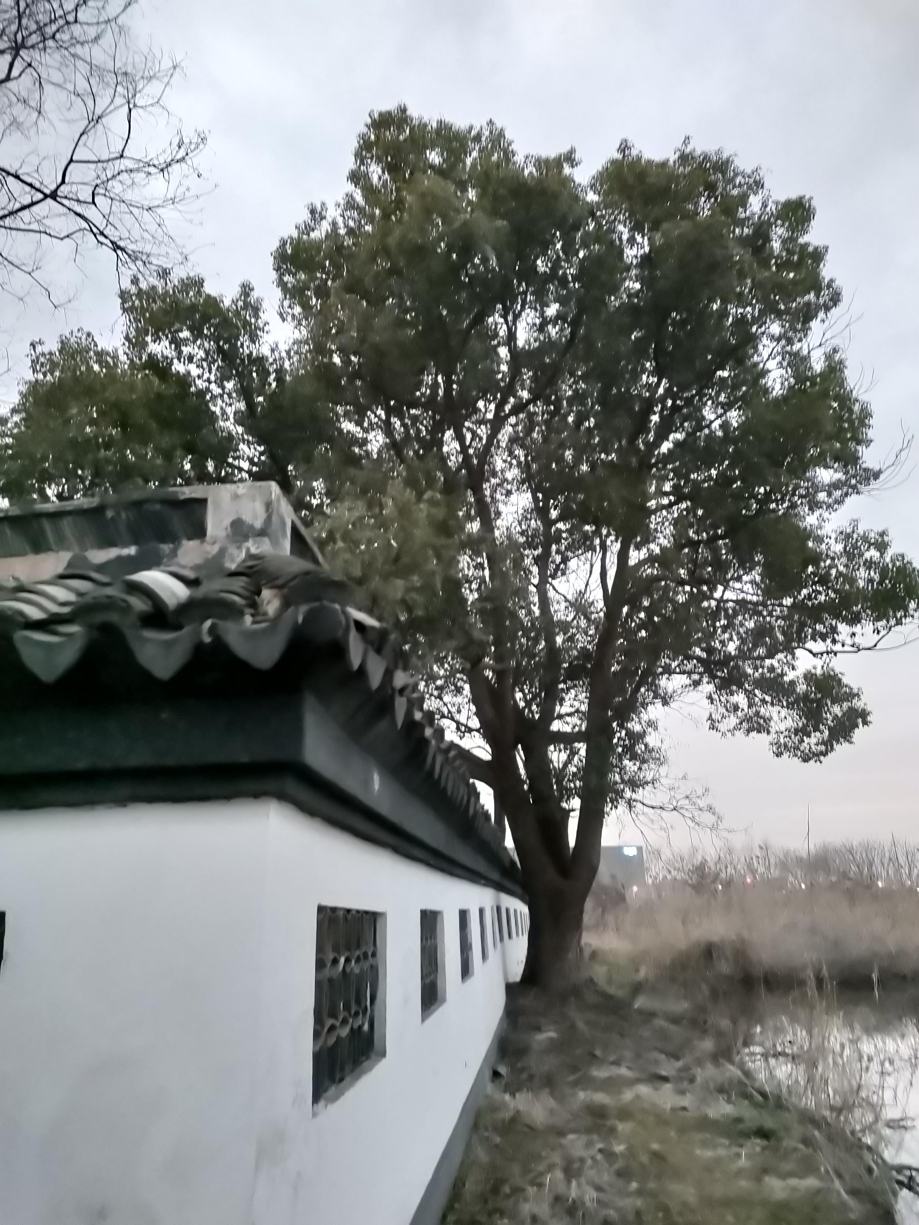 清名医徐灵胎墓旅行图片 3
