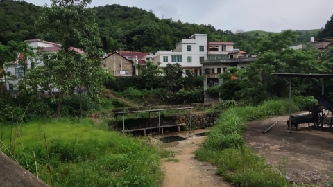 三黄豪头旅行图片 2