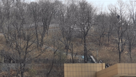 珍珠山公园旅行图片 1