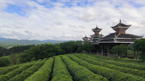 桂花台景区