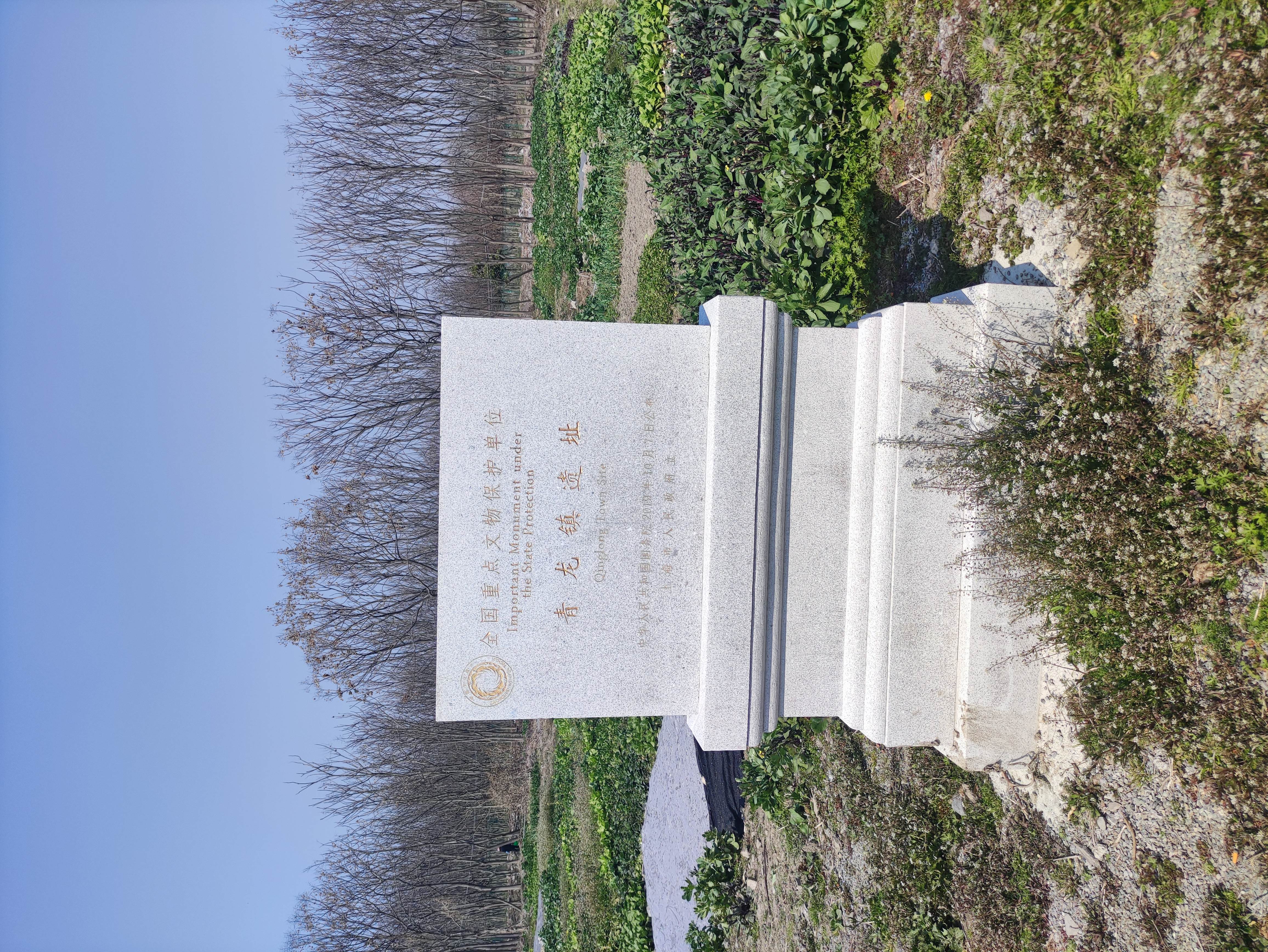 隆平寺遗址旅行图片 1