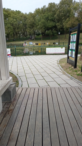 飞凤健康主题公园旅行图片 1