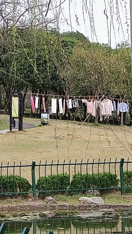 飞凤健康主题公园旅行图片 2