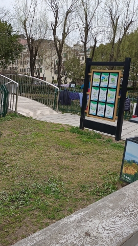飞凤健康主题公园旅行图片 3