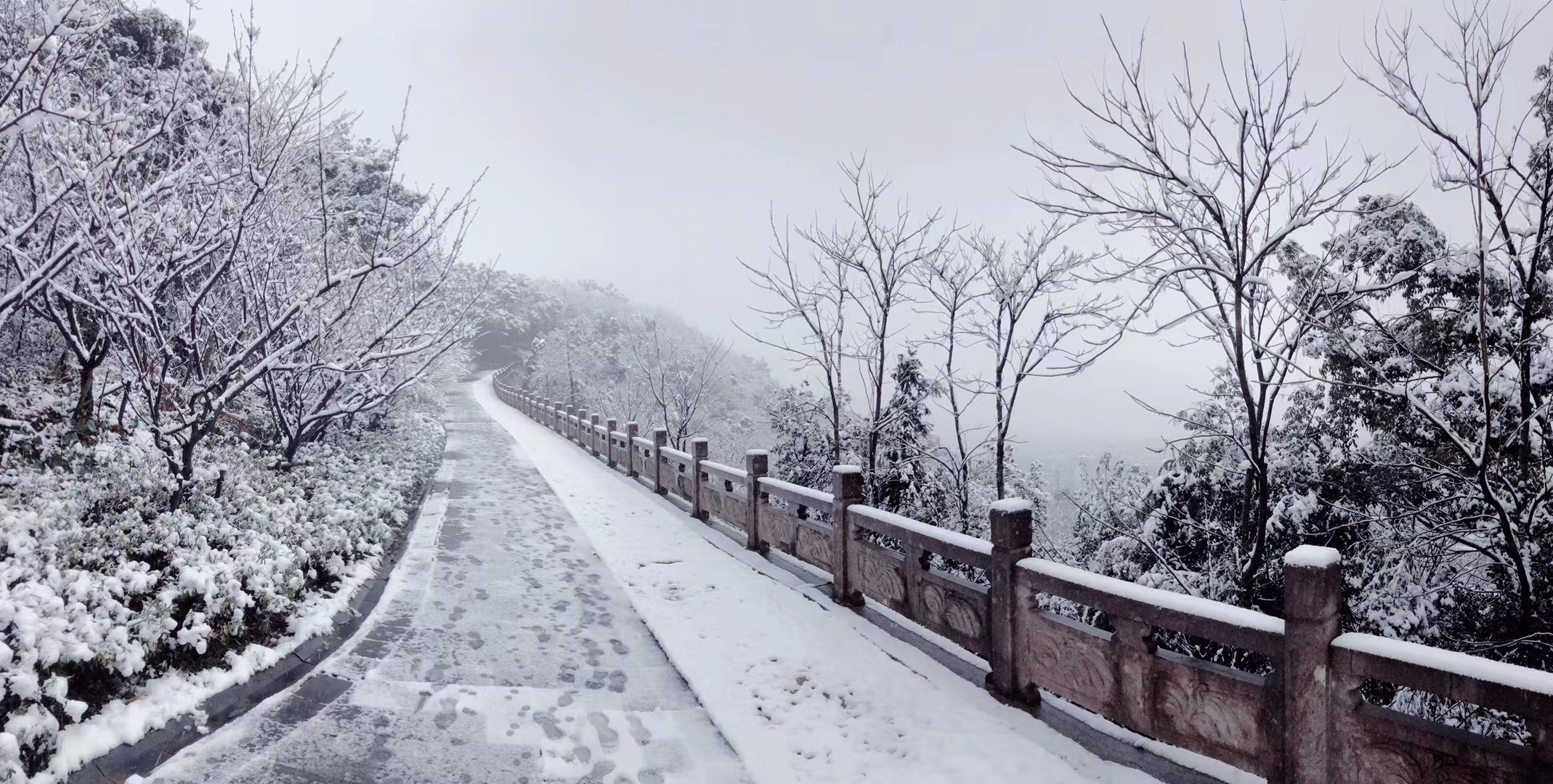 屏基山公园