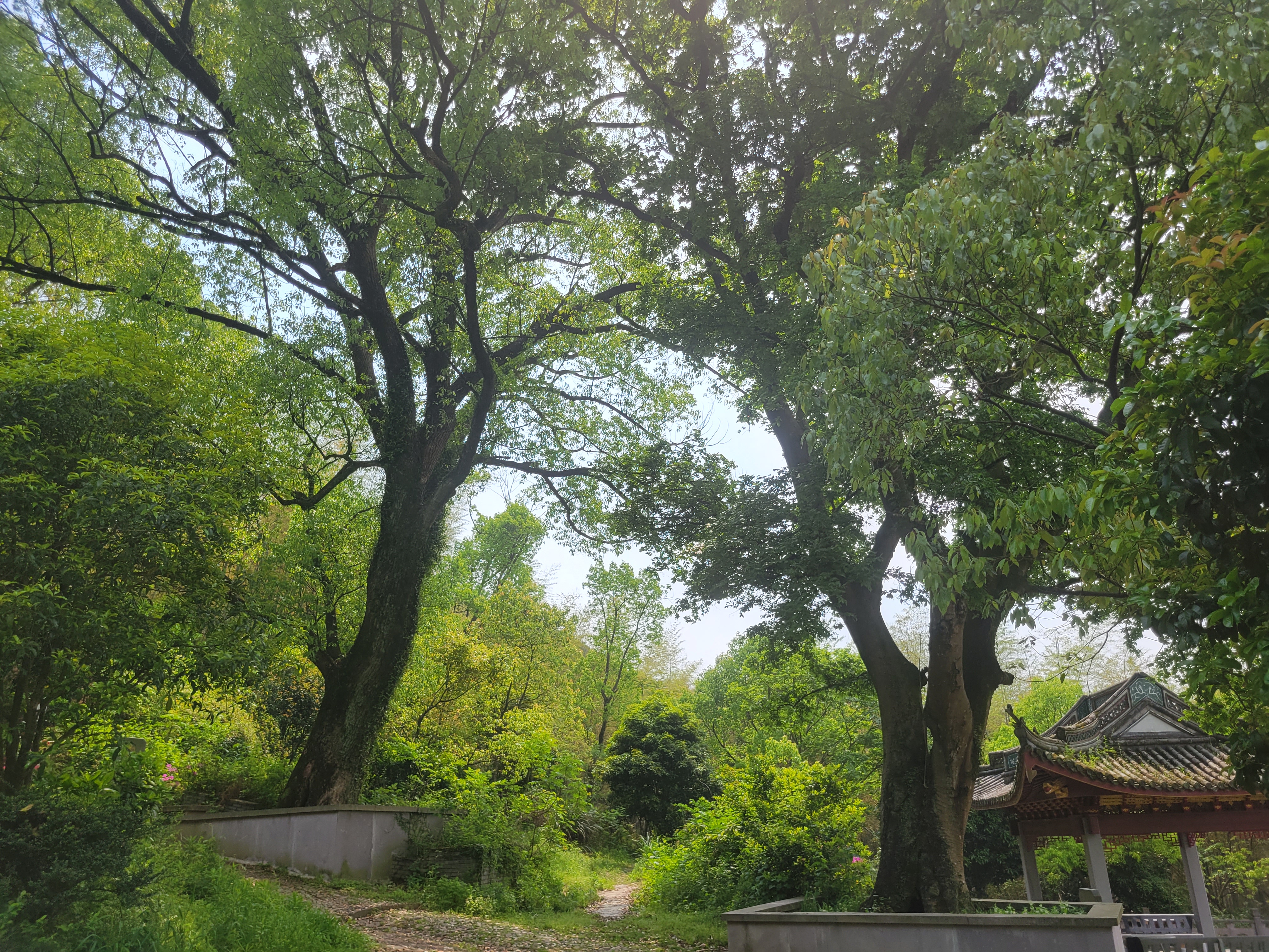 岭南古道旅行图片 2