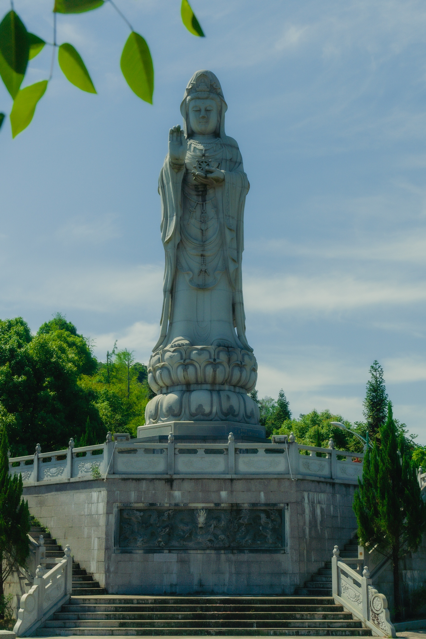 尚卿格美茶花文化公园旅行图片