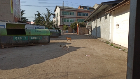 石板镇综合文化广场旅行图片 2