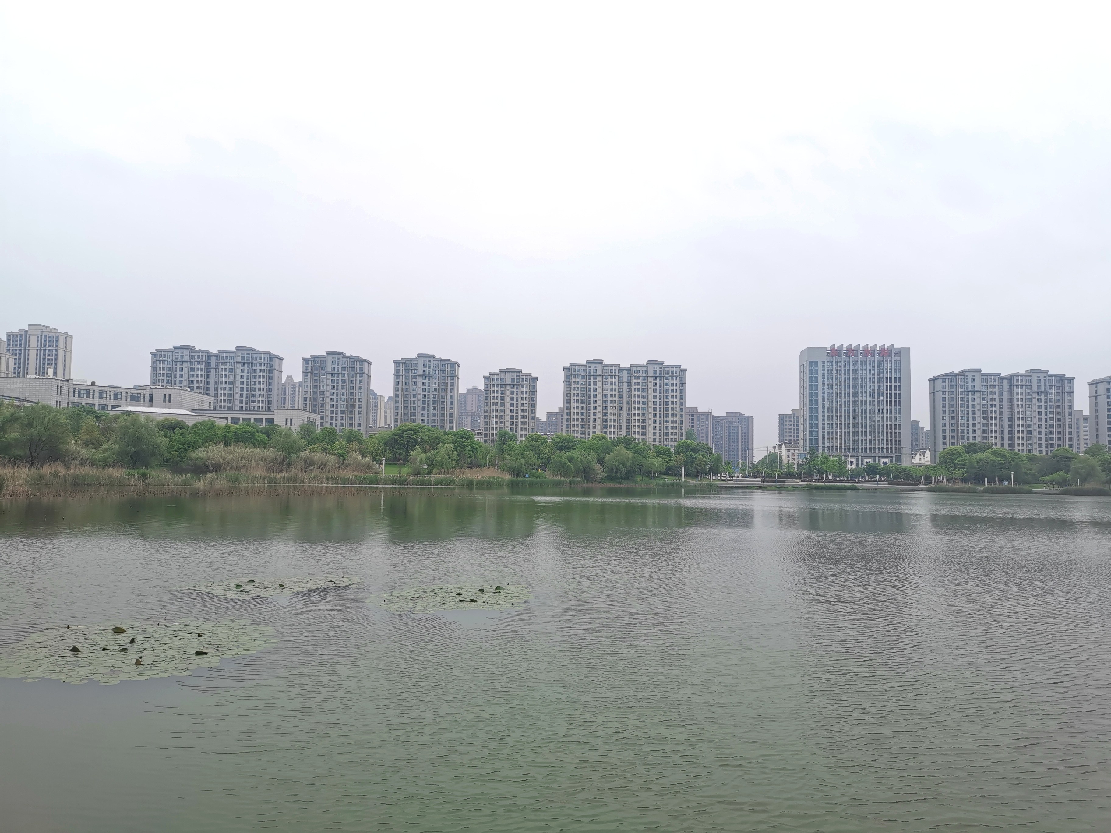 城东公园旅行图片 1