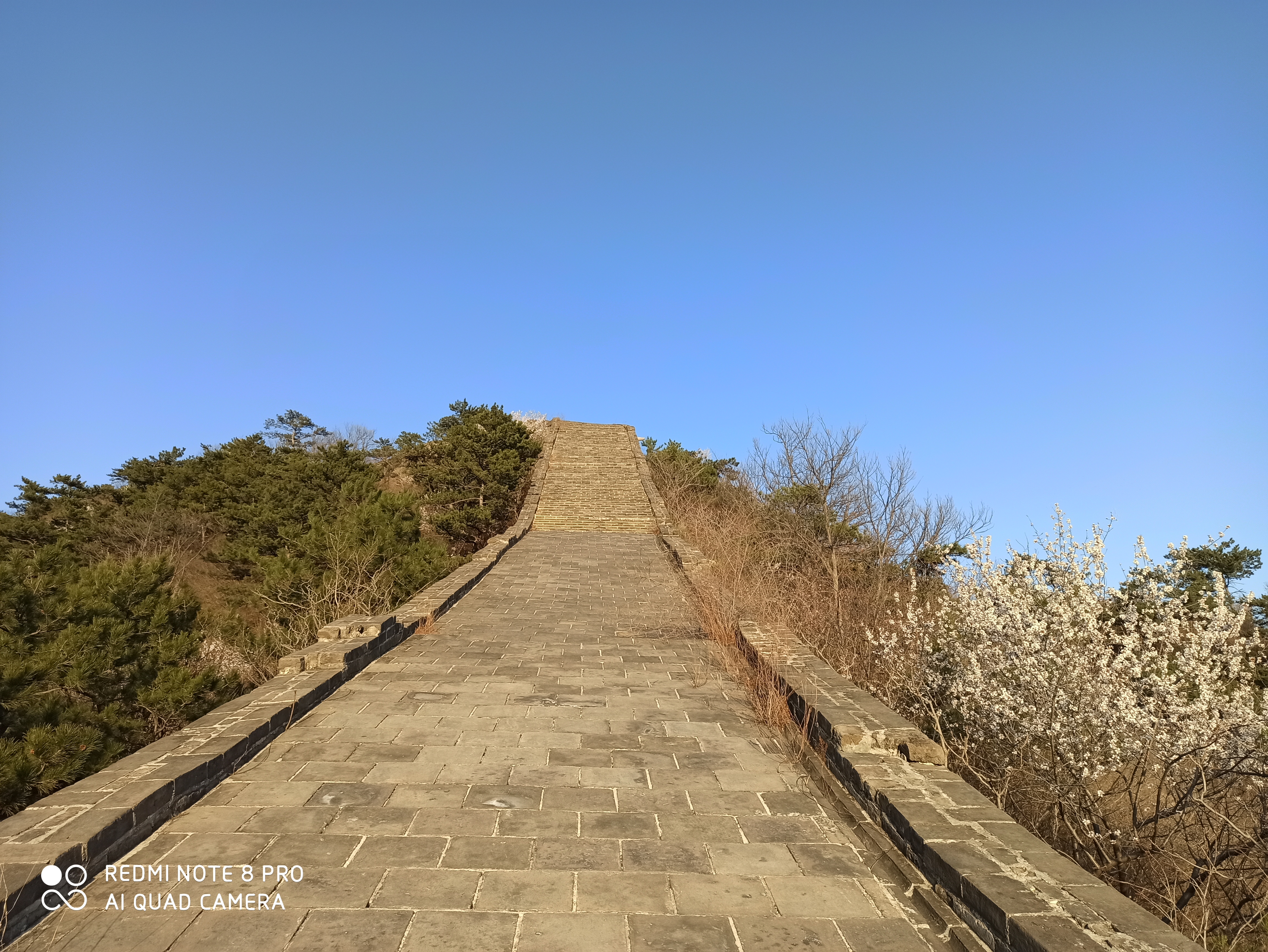 黄花城野长城旅行图片 1