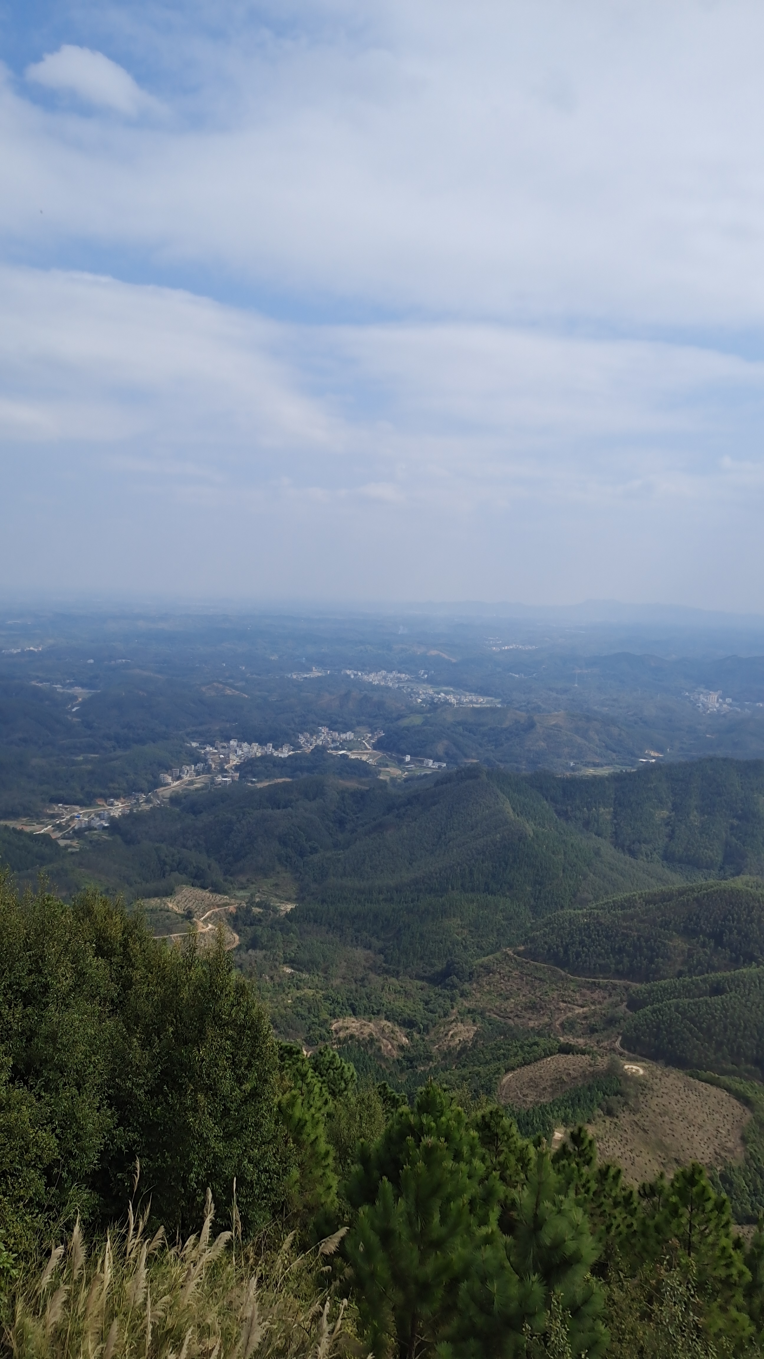 飞鹅岭自然保护区旅行图片 3