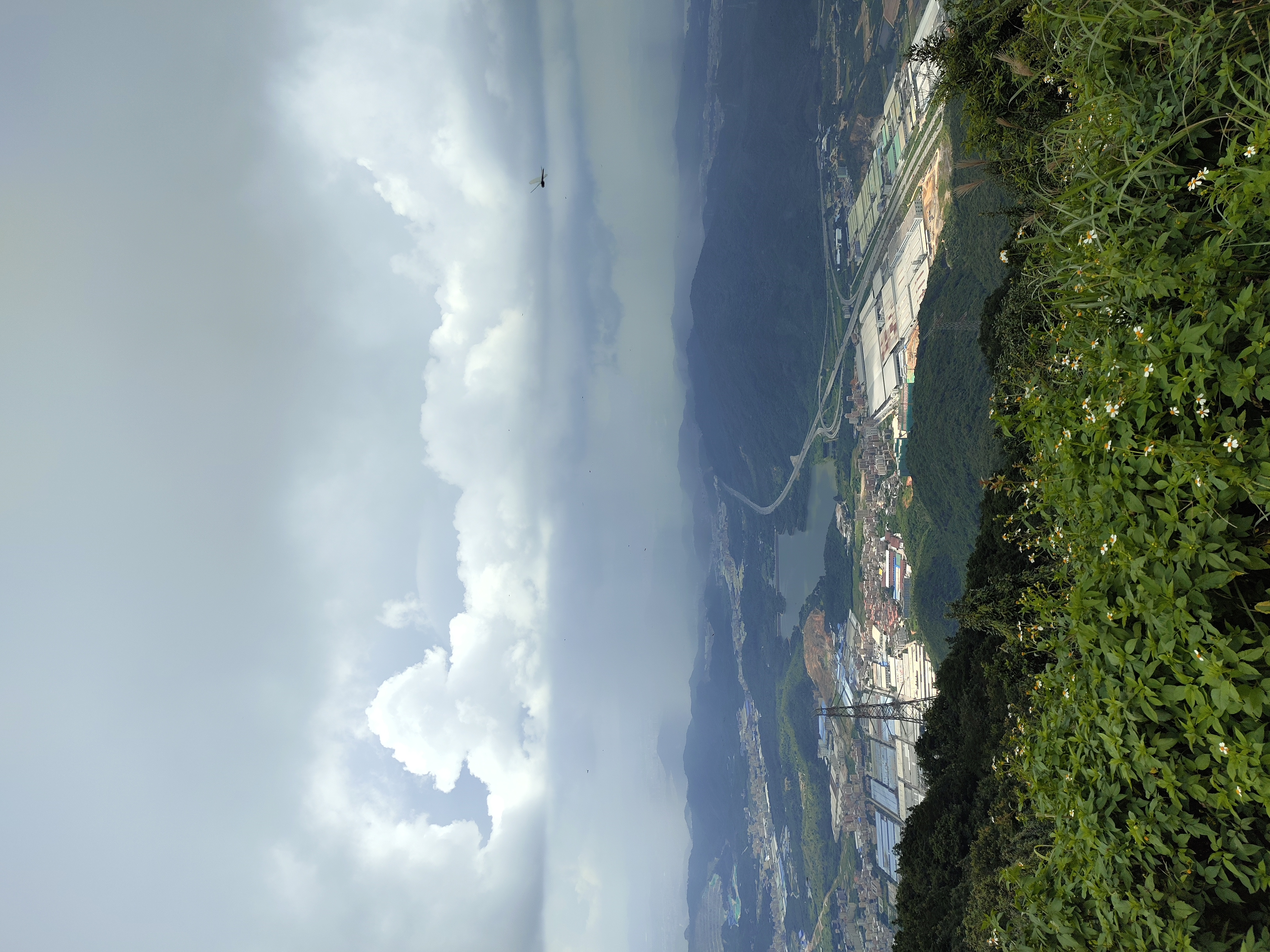 高州良德水库风景区旅行图片 3