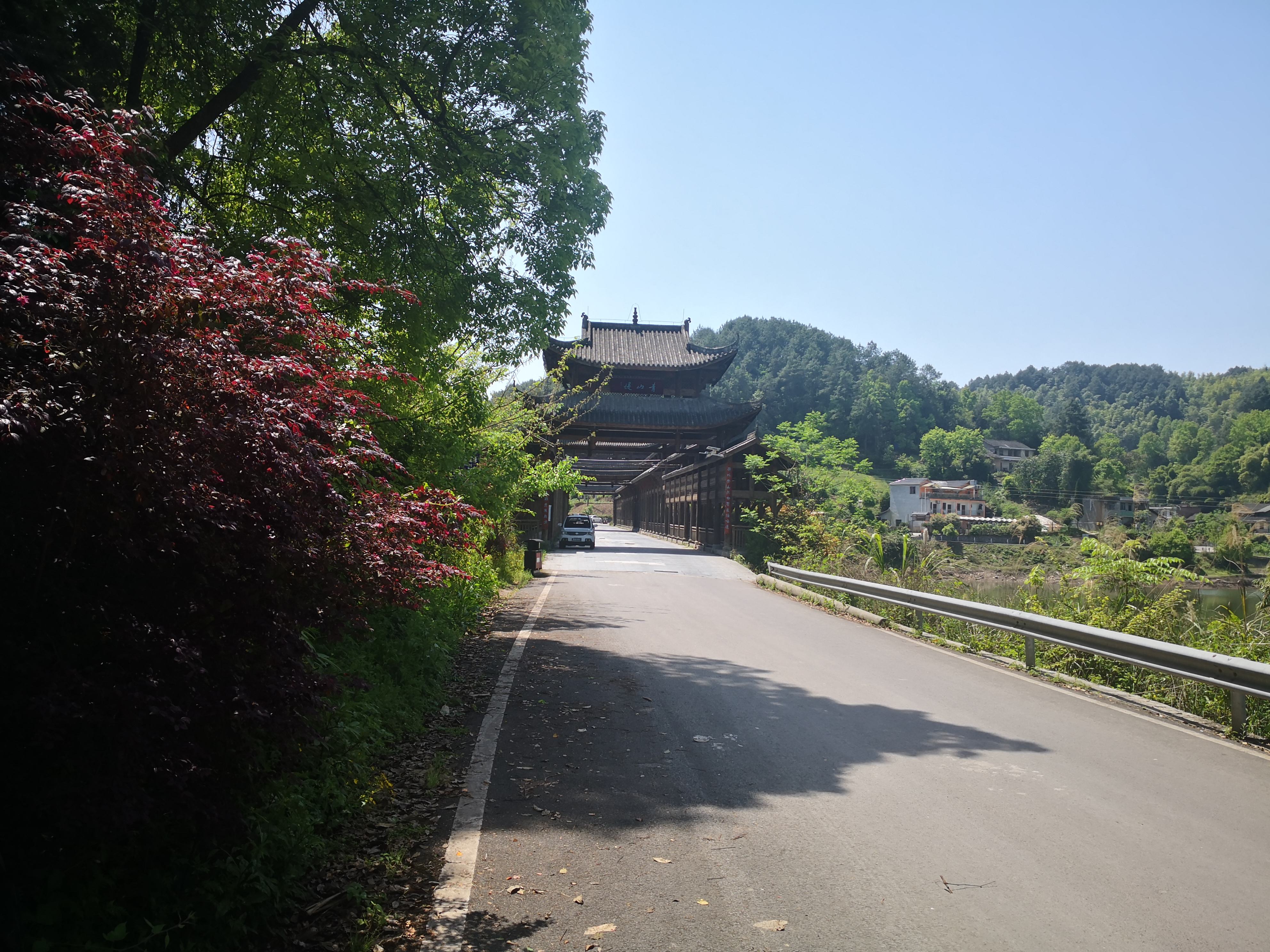 青山湖国家湿地公园旅行图片 1