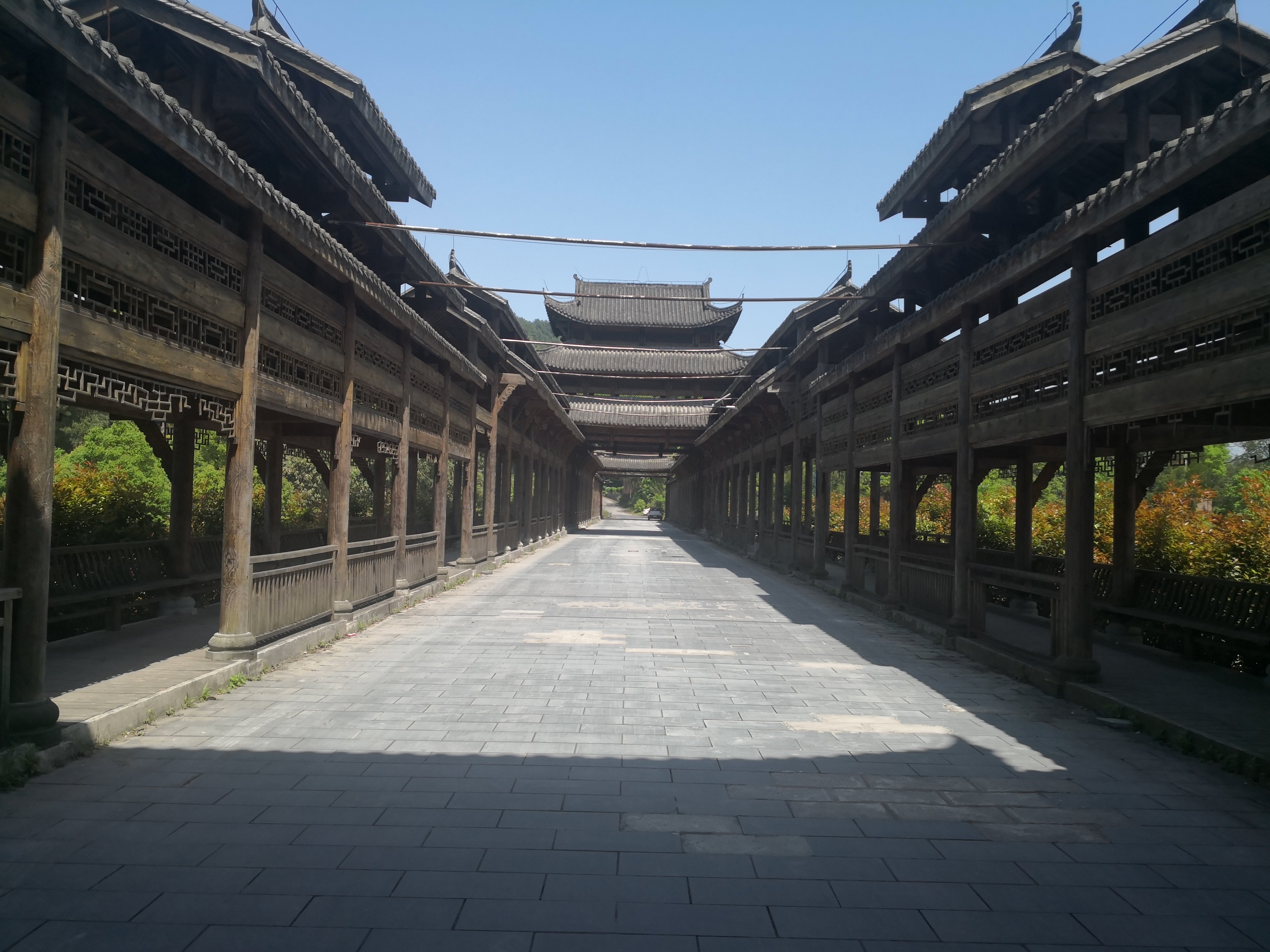 青山湖国家湿地公园旅行图片 2