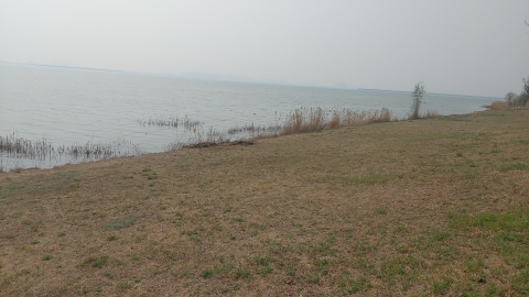 团泊湖(石碑打卡地)旅行图片 1
