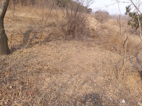 三合山风景区旅行图片 3