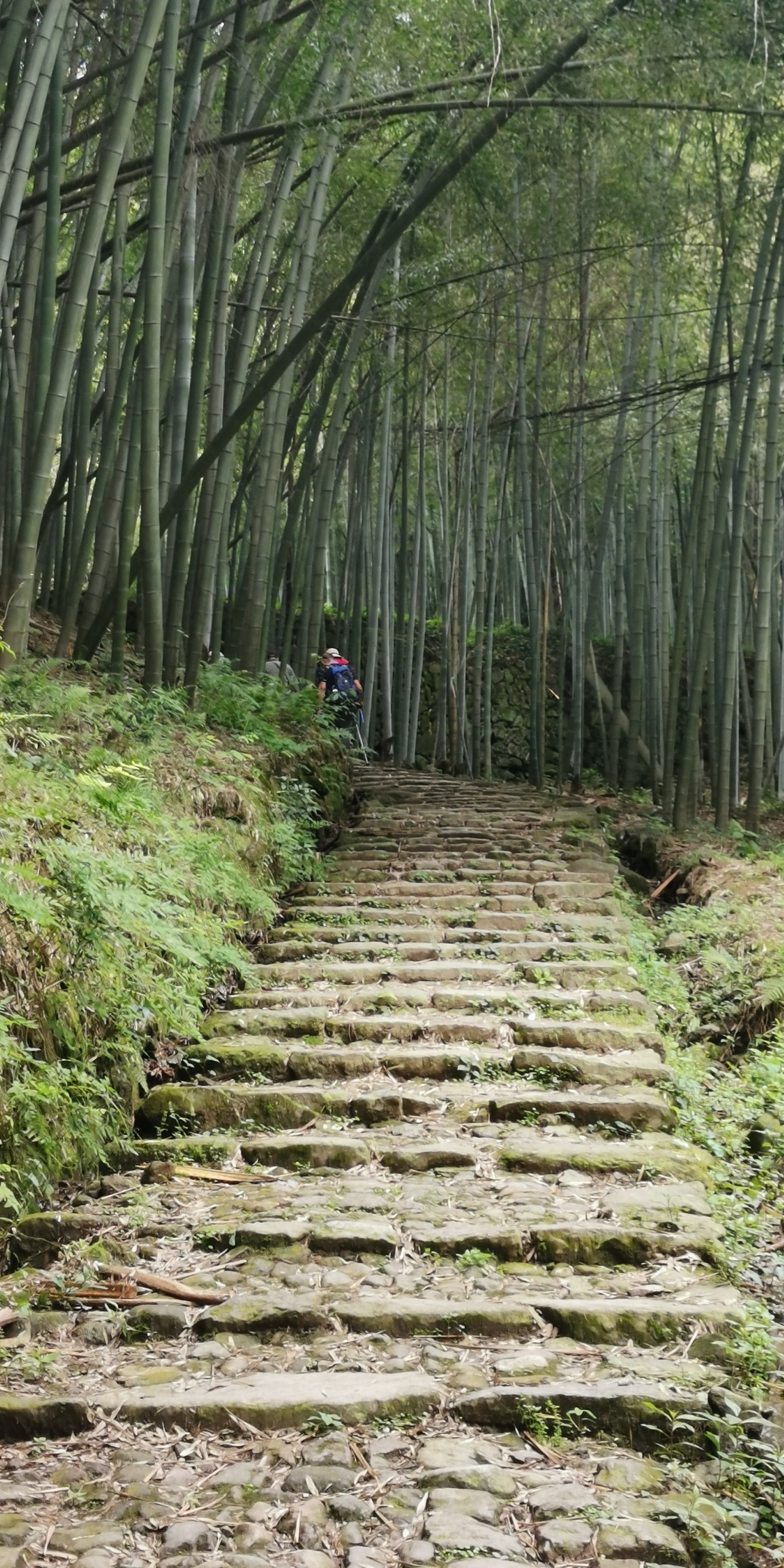 日铸岭古道旅行图片 2