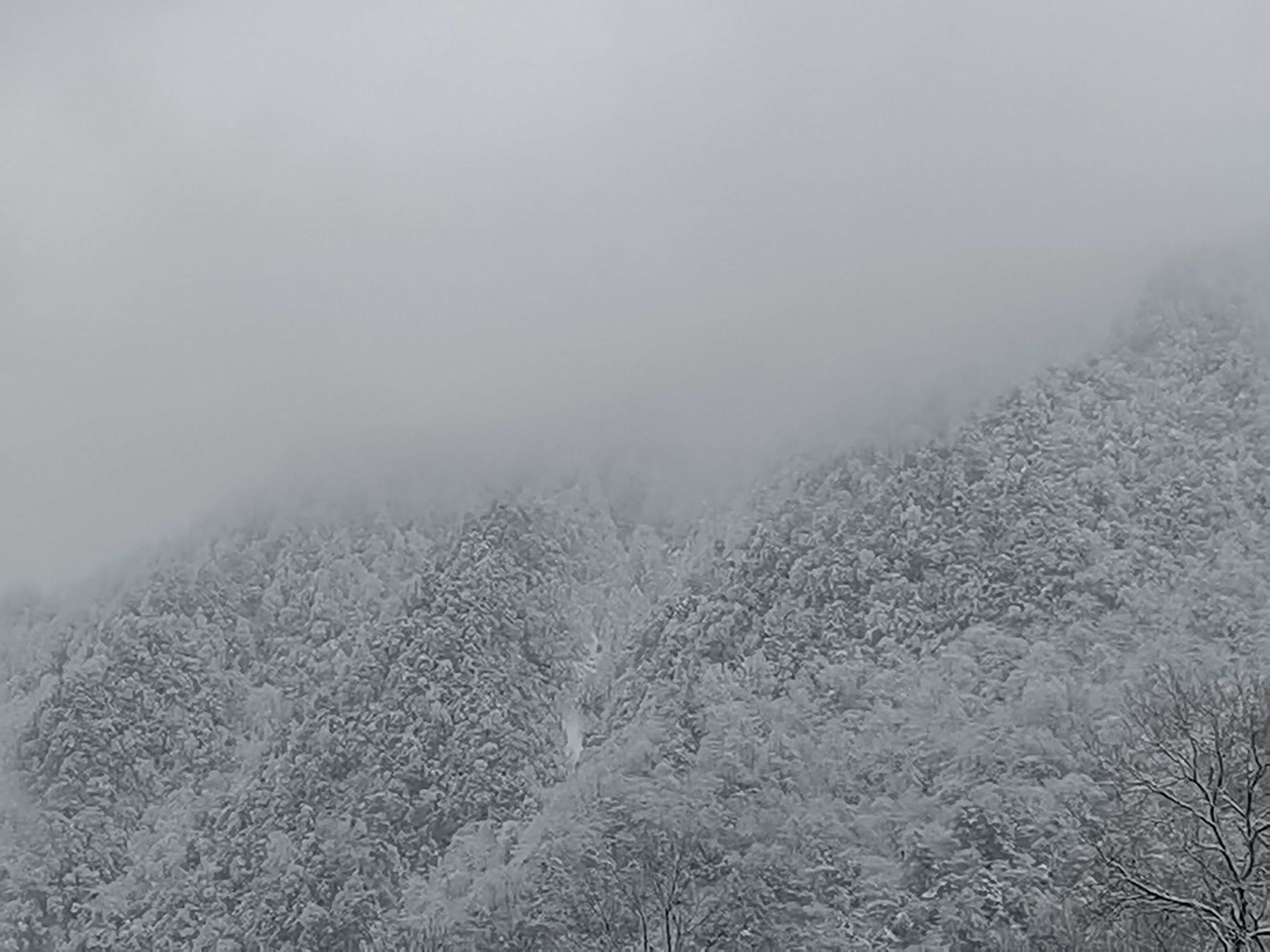 建设村旅游景区旅行图片 1