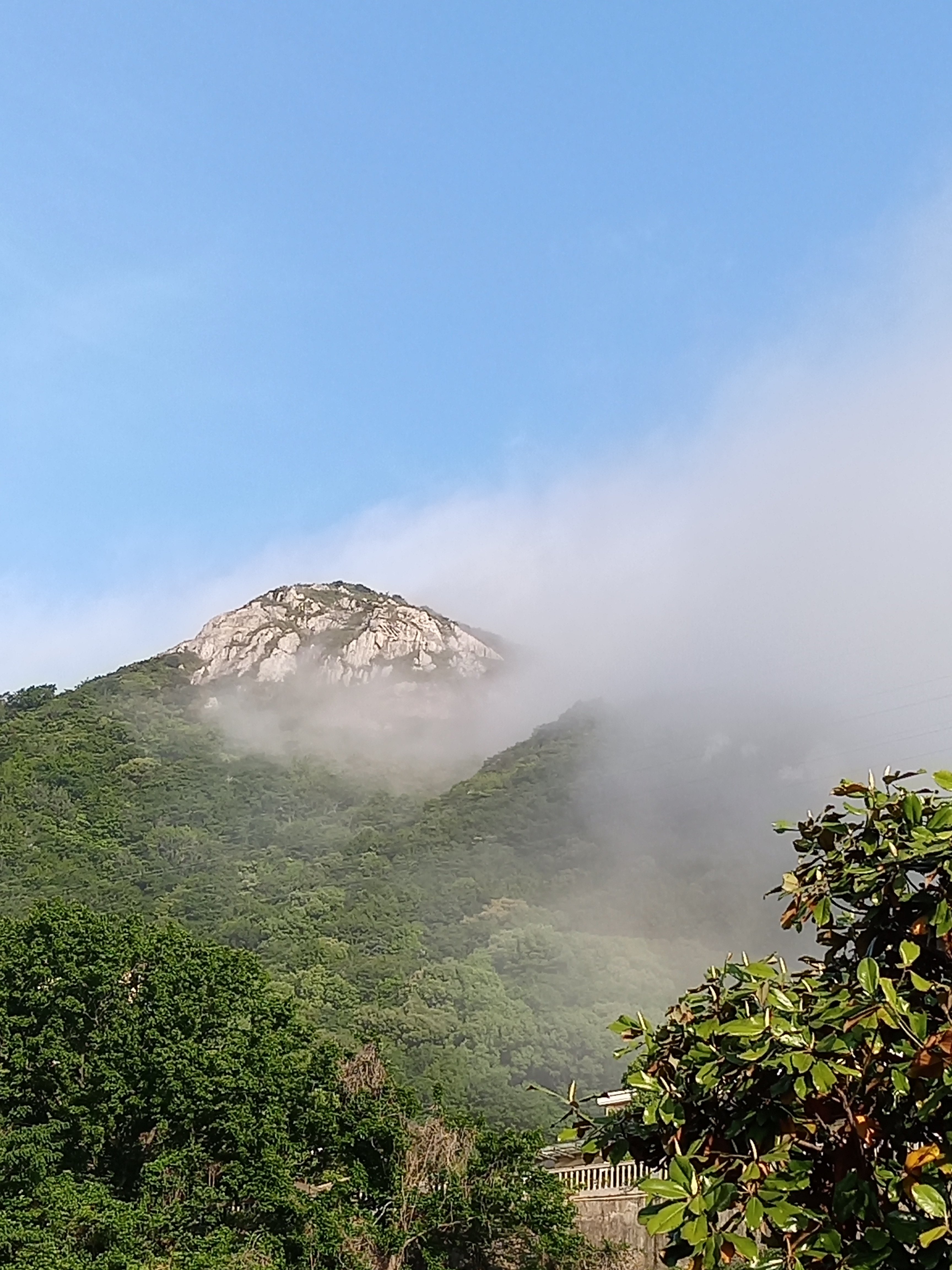 武岭湿地公园旅行图片 2