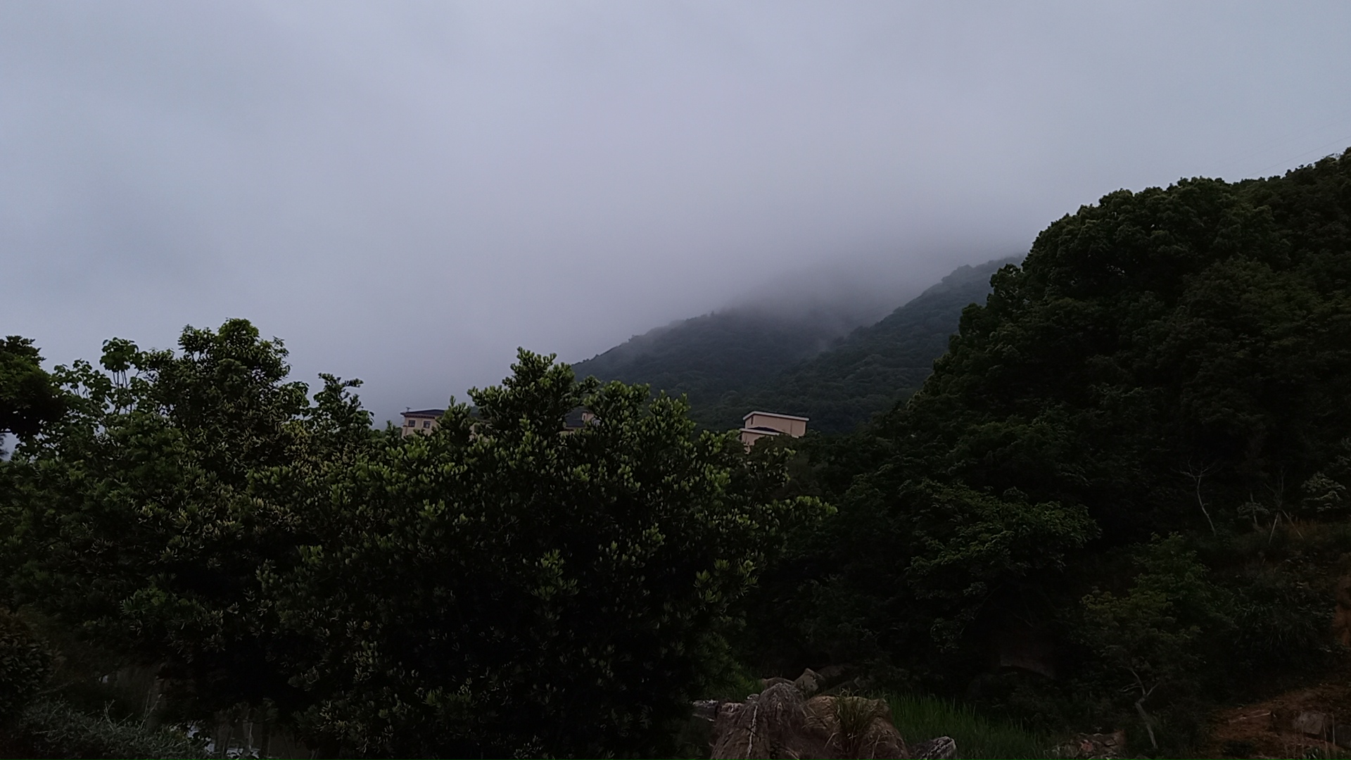 武岭湿地公园旅行图片 1