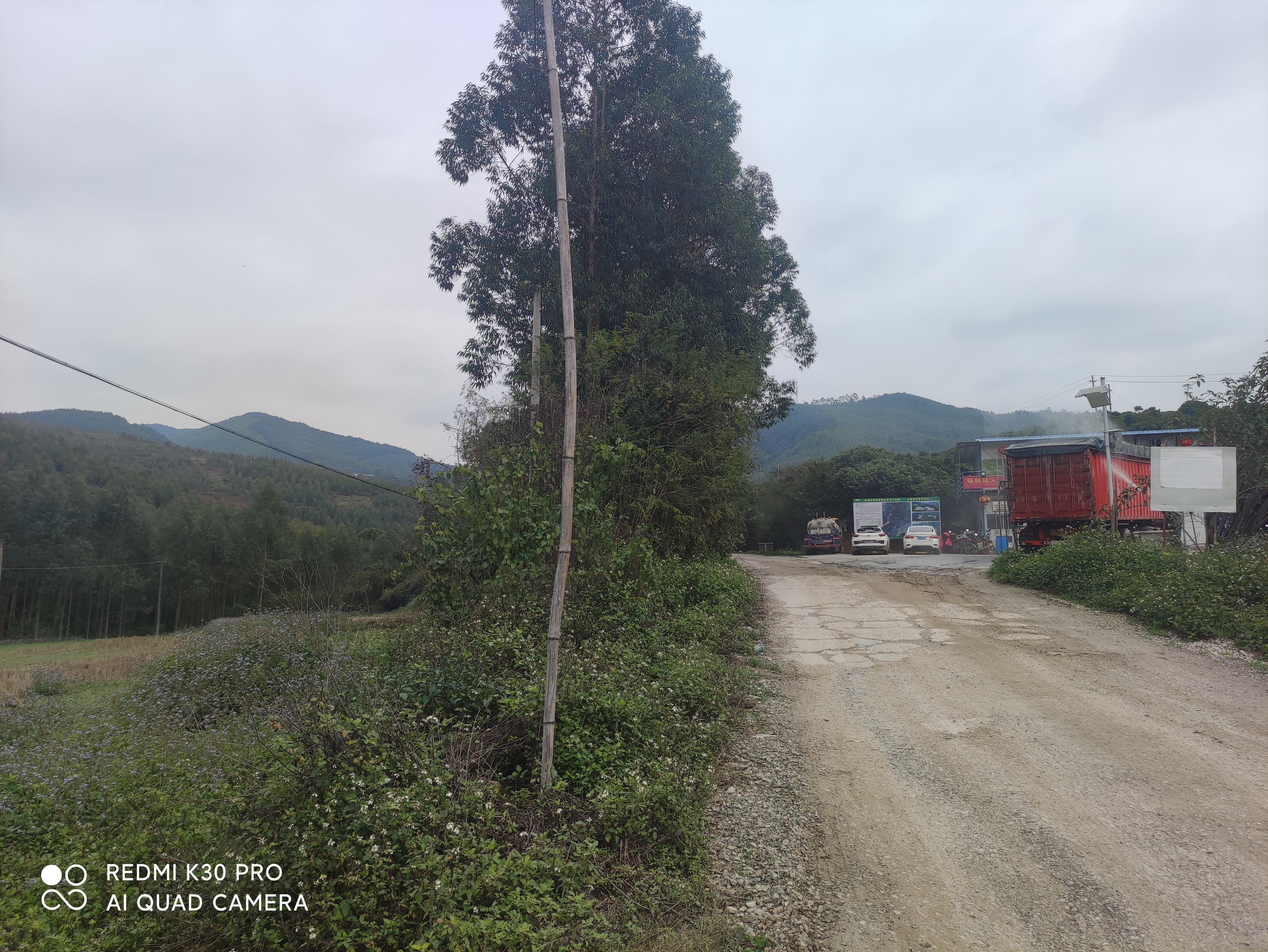 亚计山国家森林公园旅行图片 1