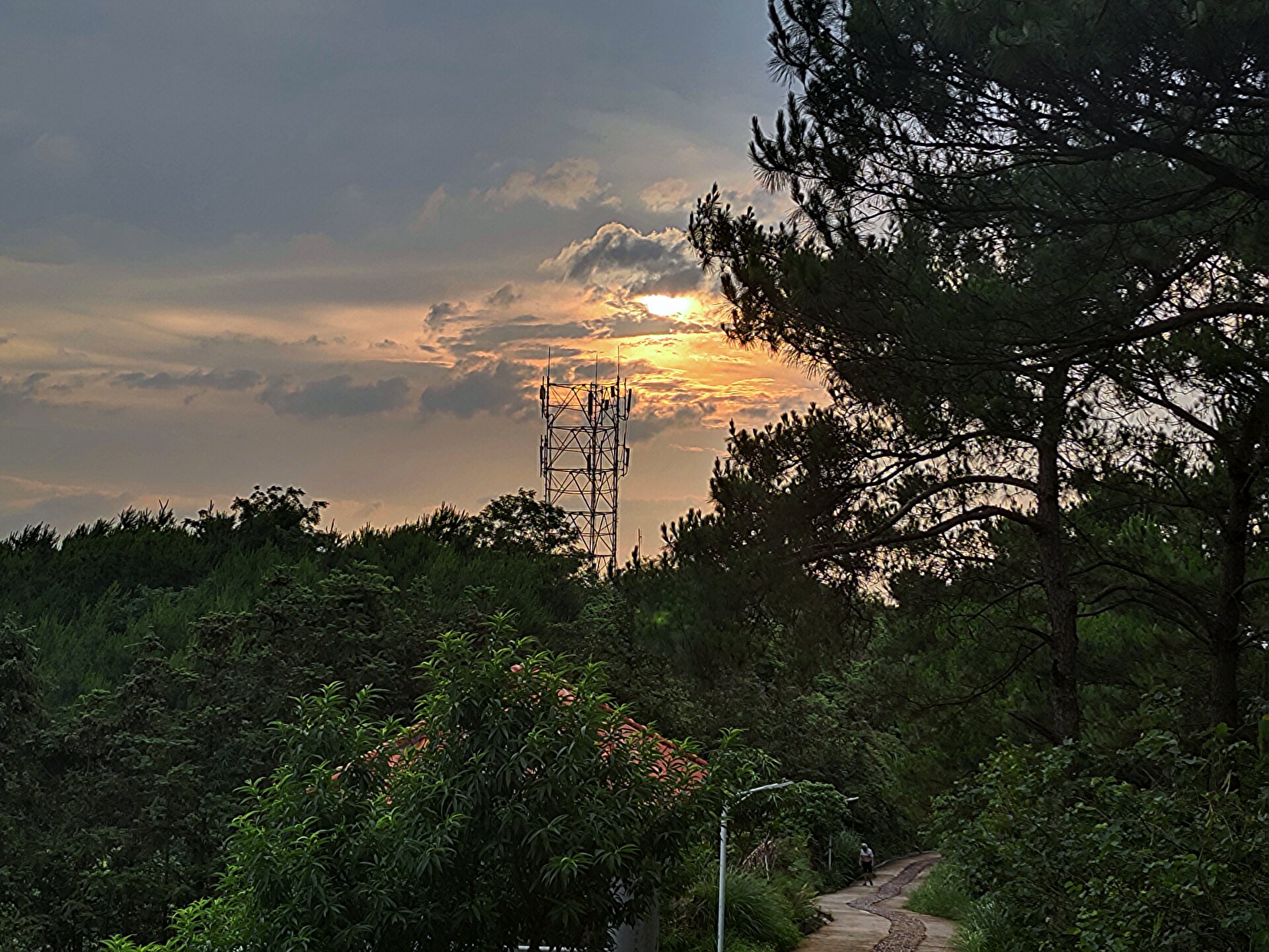 兴业县蒲塘镇北寮岭健身生态森林公园旅行图片 1