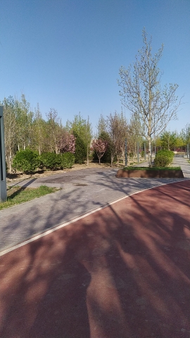 五里桥公园旅行图片 1