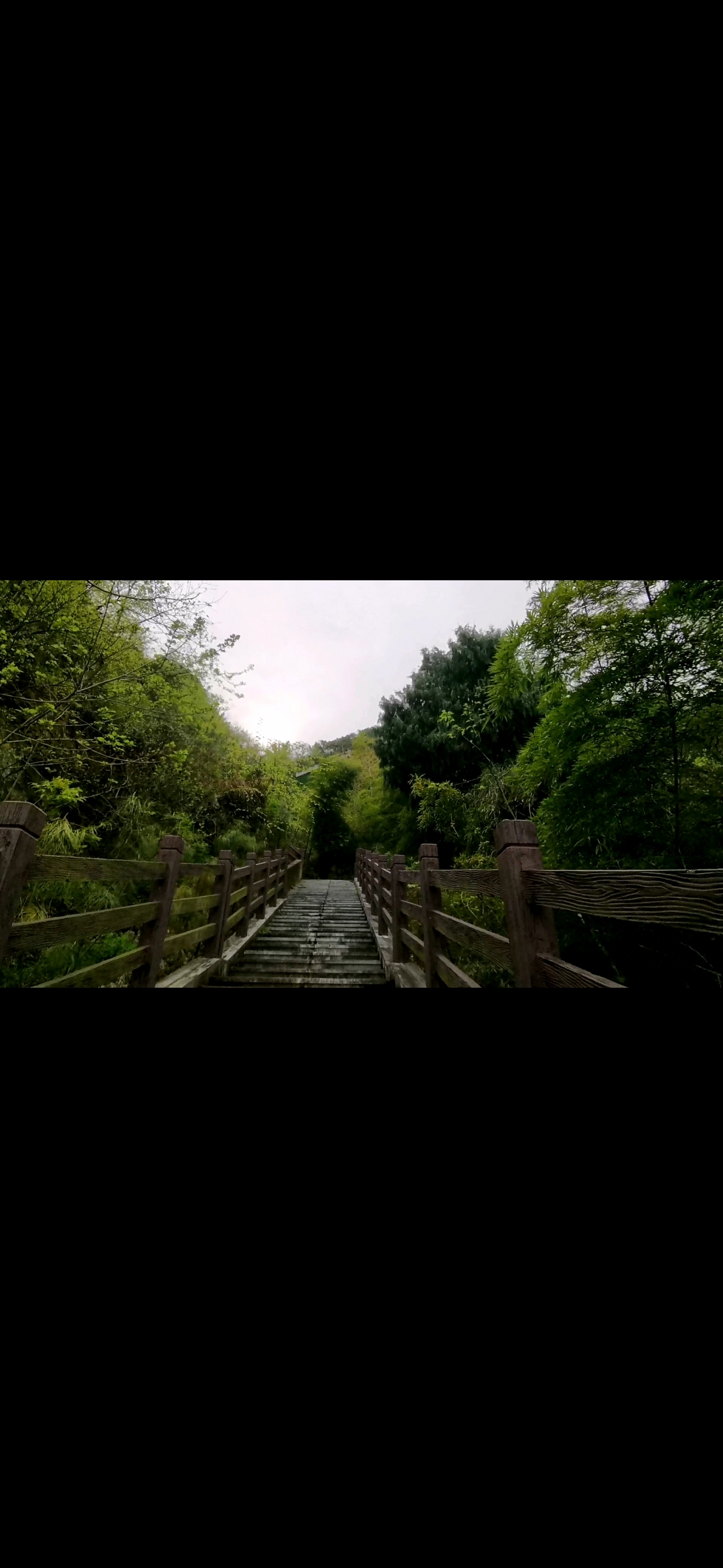 松山公园旅行图片 3