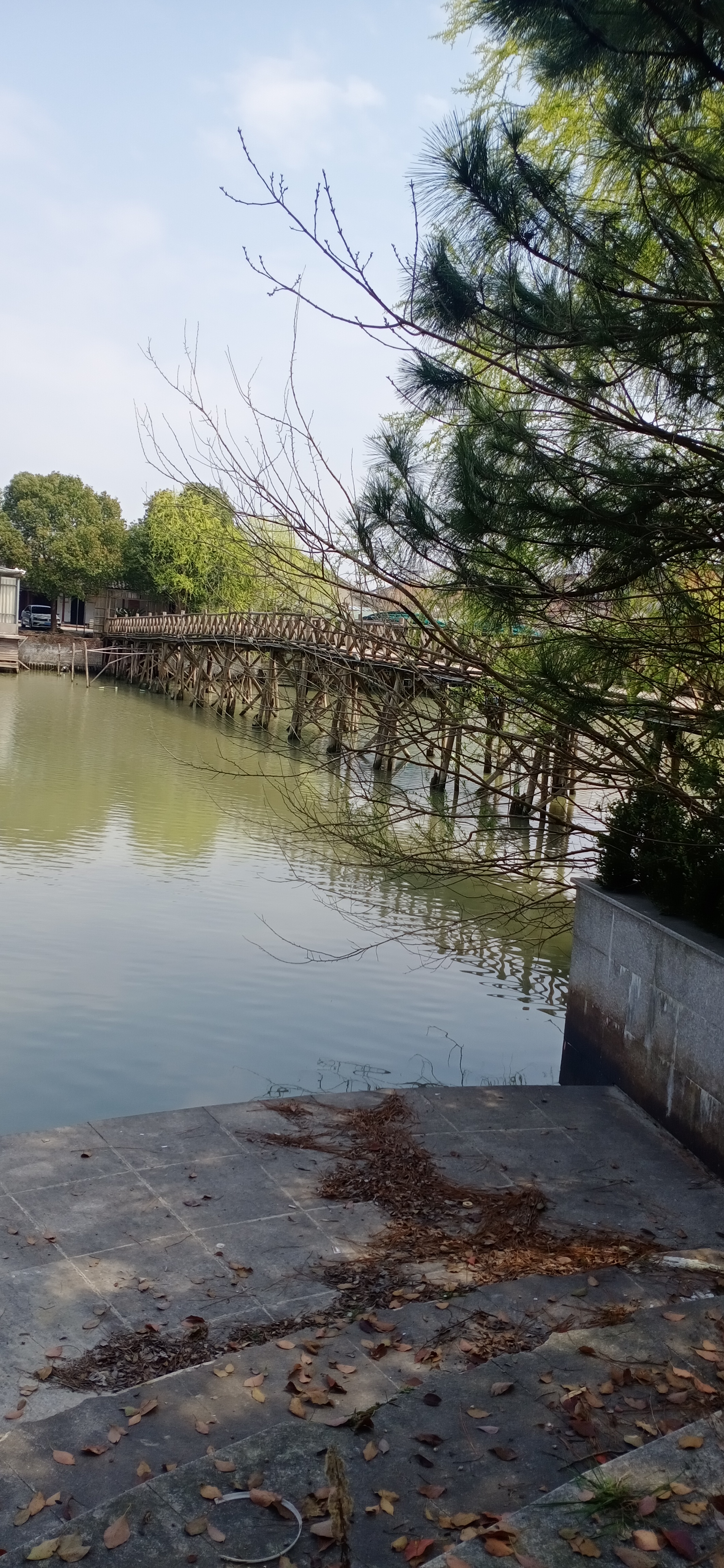 野林滩旅行图片 3