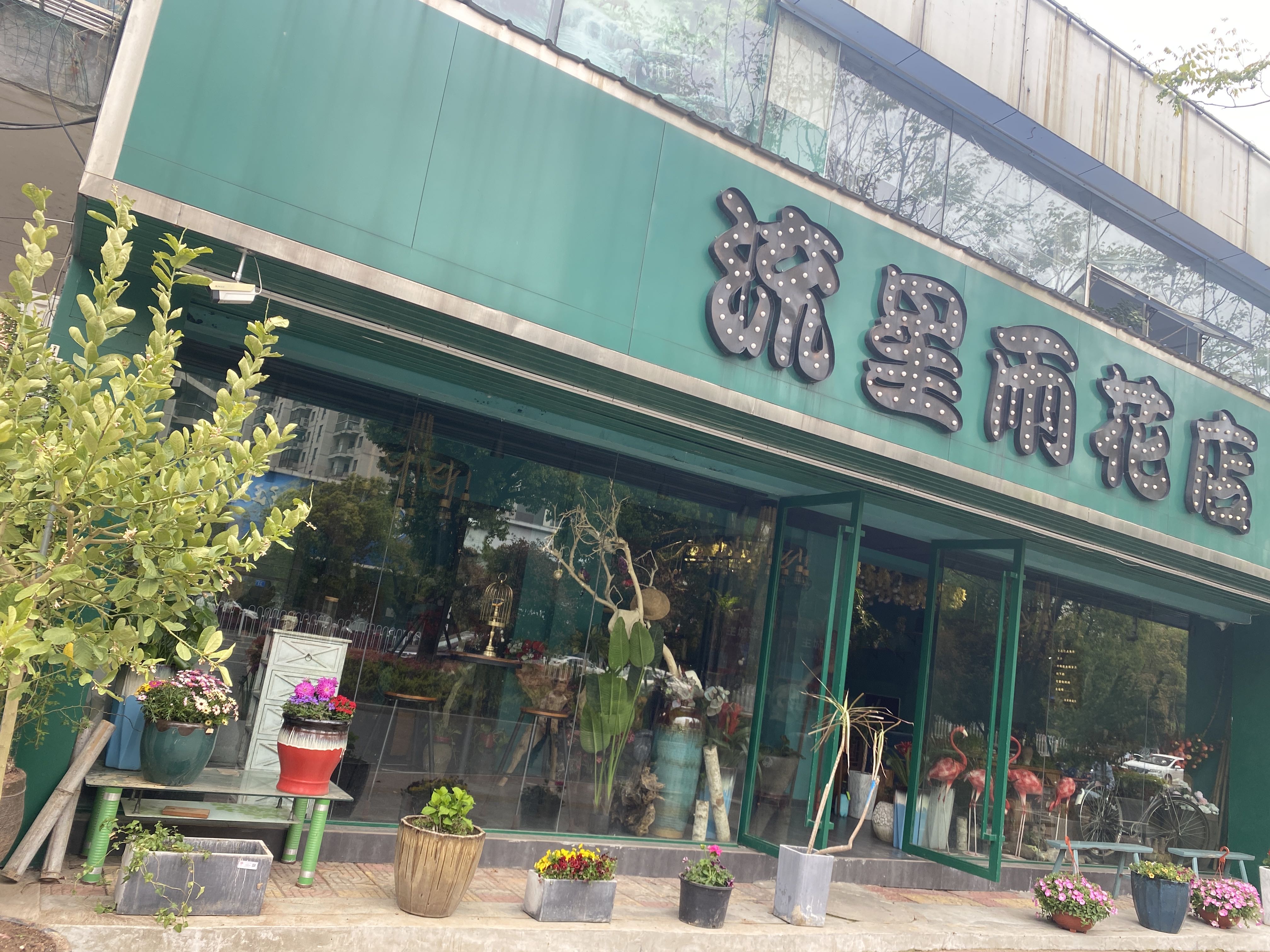 鲜花田(安庆流星雨花店)