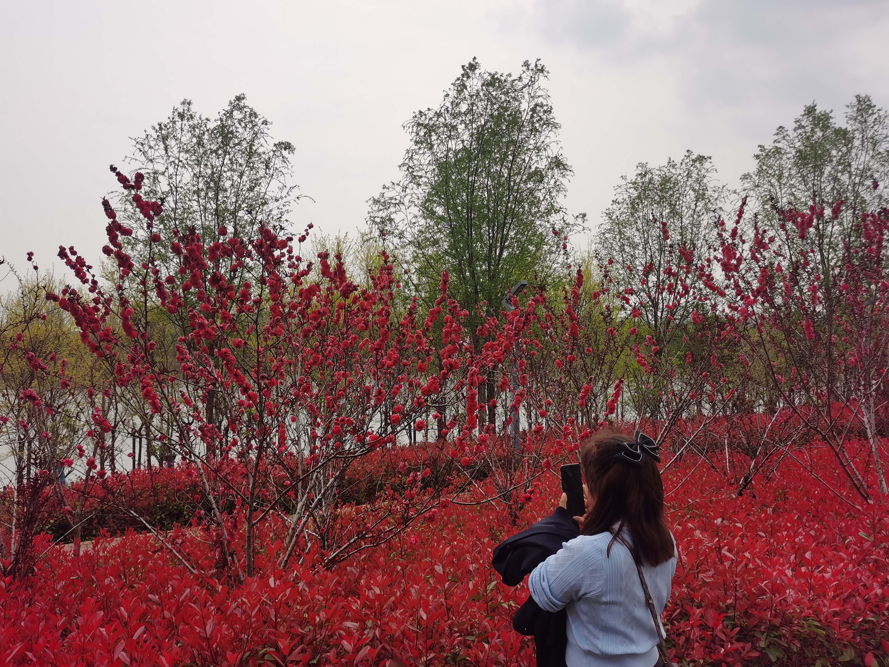南湖公园旅行图片 2